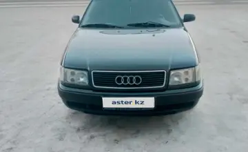Audi 100 1994 года за 2 700 000 тг. в Петропавловск