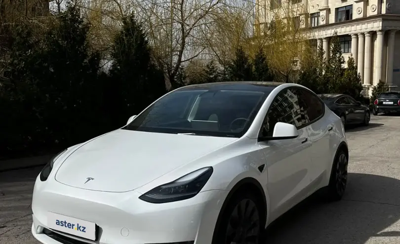 Tesla Model Y 2022 года за 35 000 000 тг. в Алматы