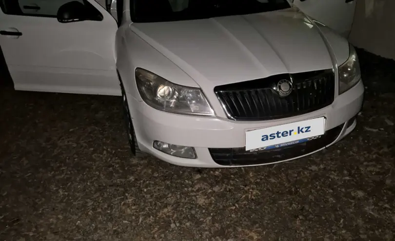 Skoda Octavia 2009 года за 4 800 000 тг. в Западно-Казахстанская область