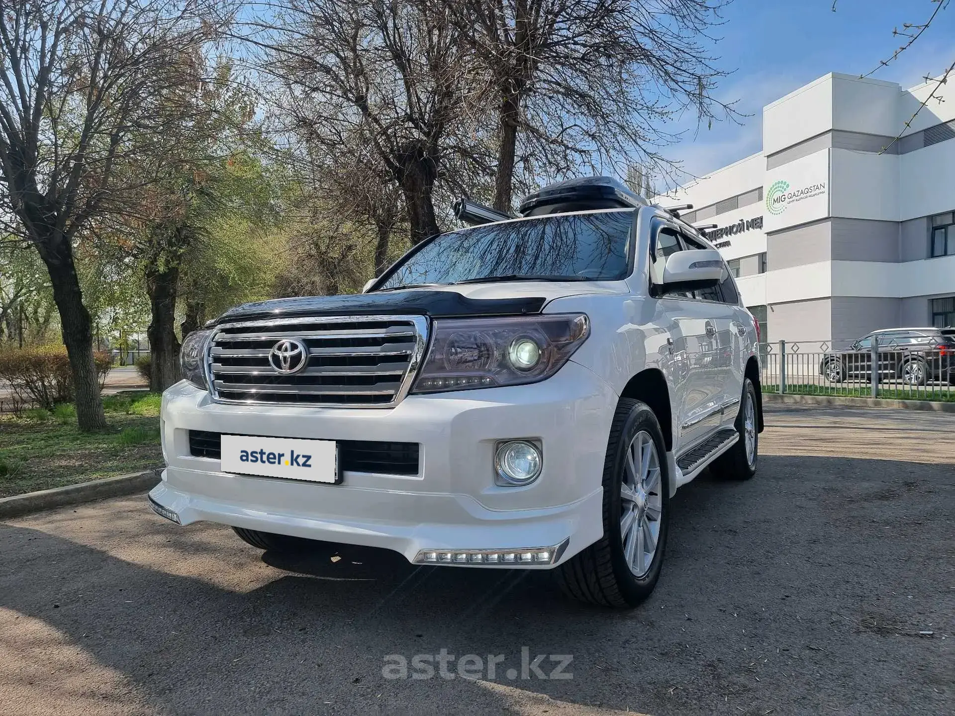 Toyota Land Cruiser 2008