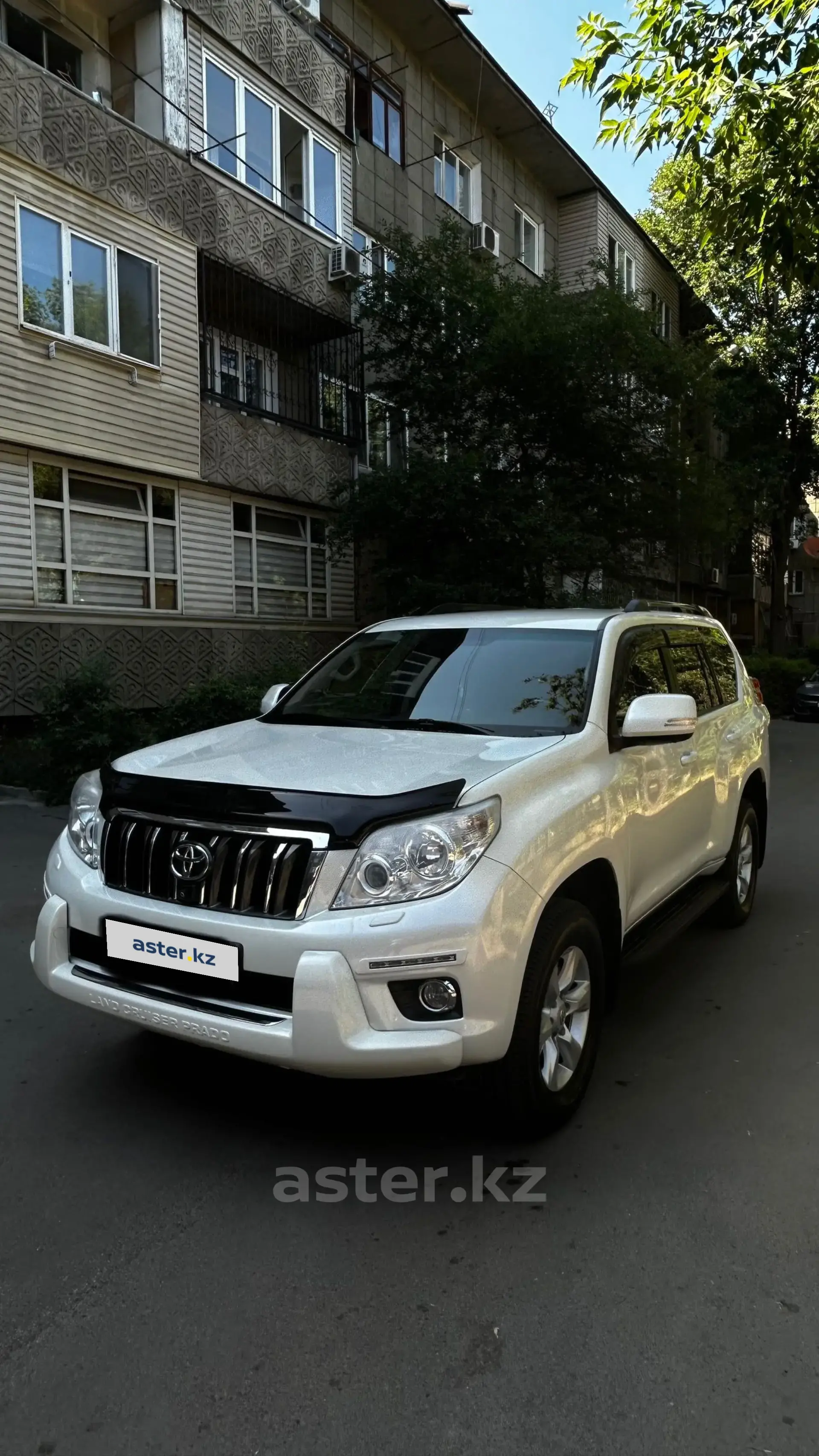 Toyota Land Cruiser Prado 2013