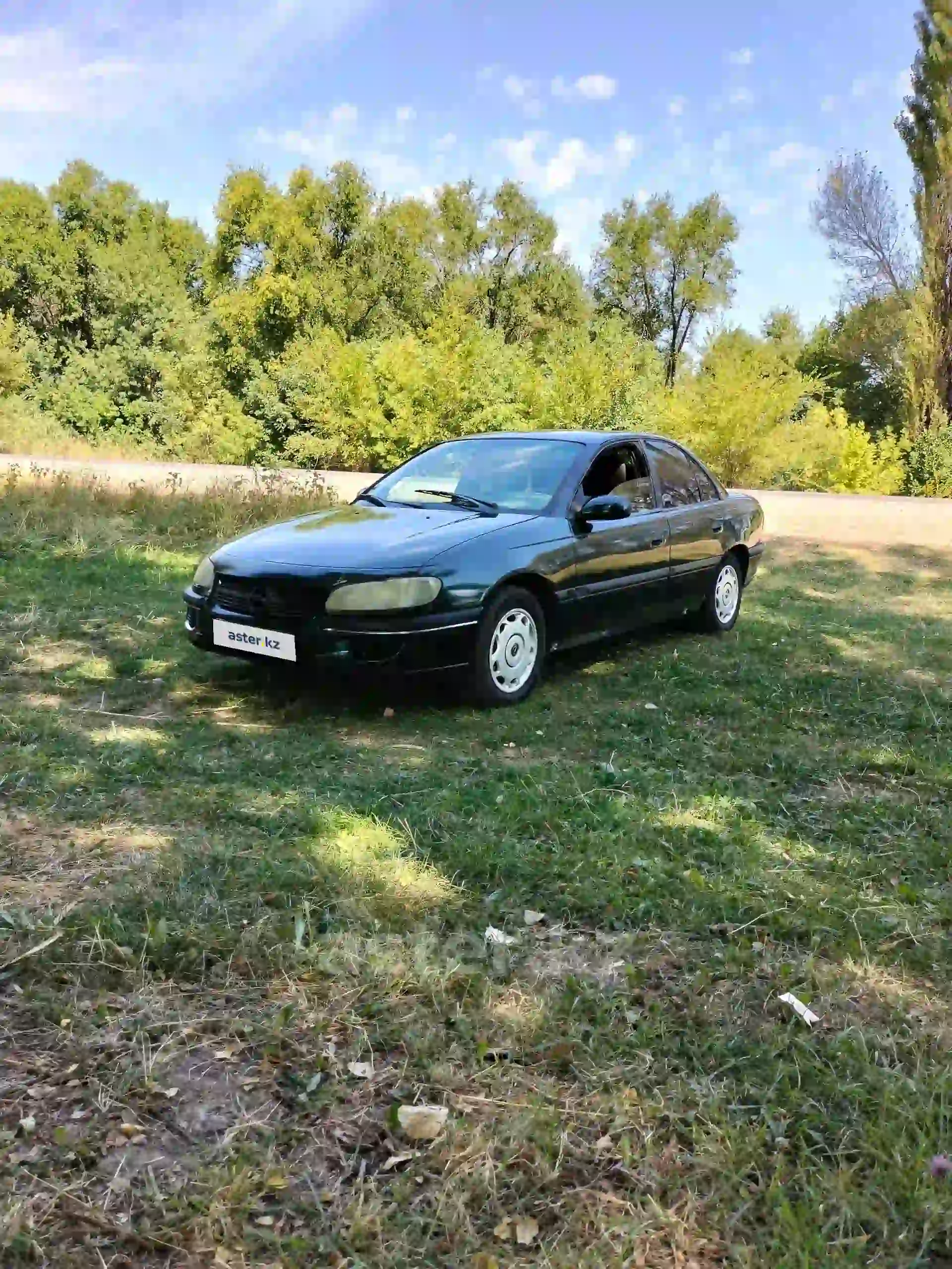 Opel Omega 1995