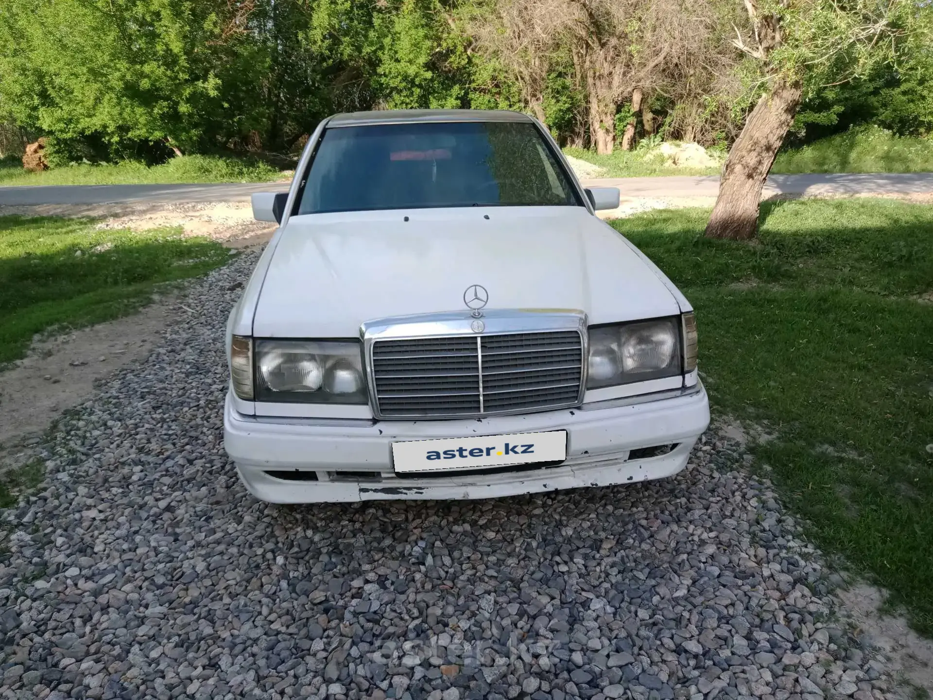 Mercedes-Benz W124 1989