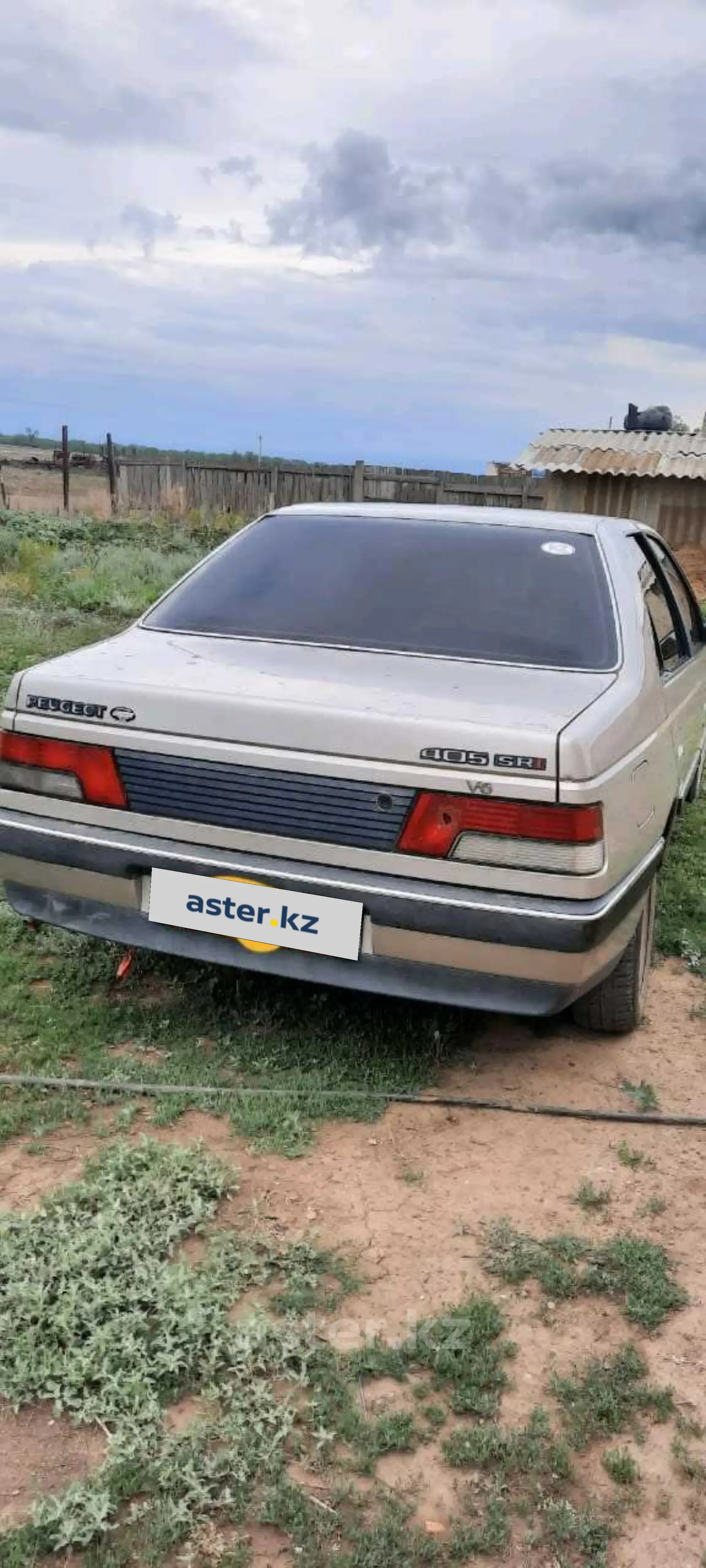 Peugeot 405 1991