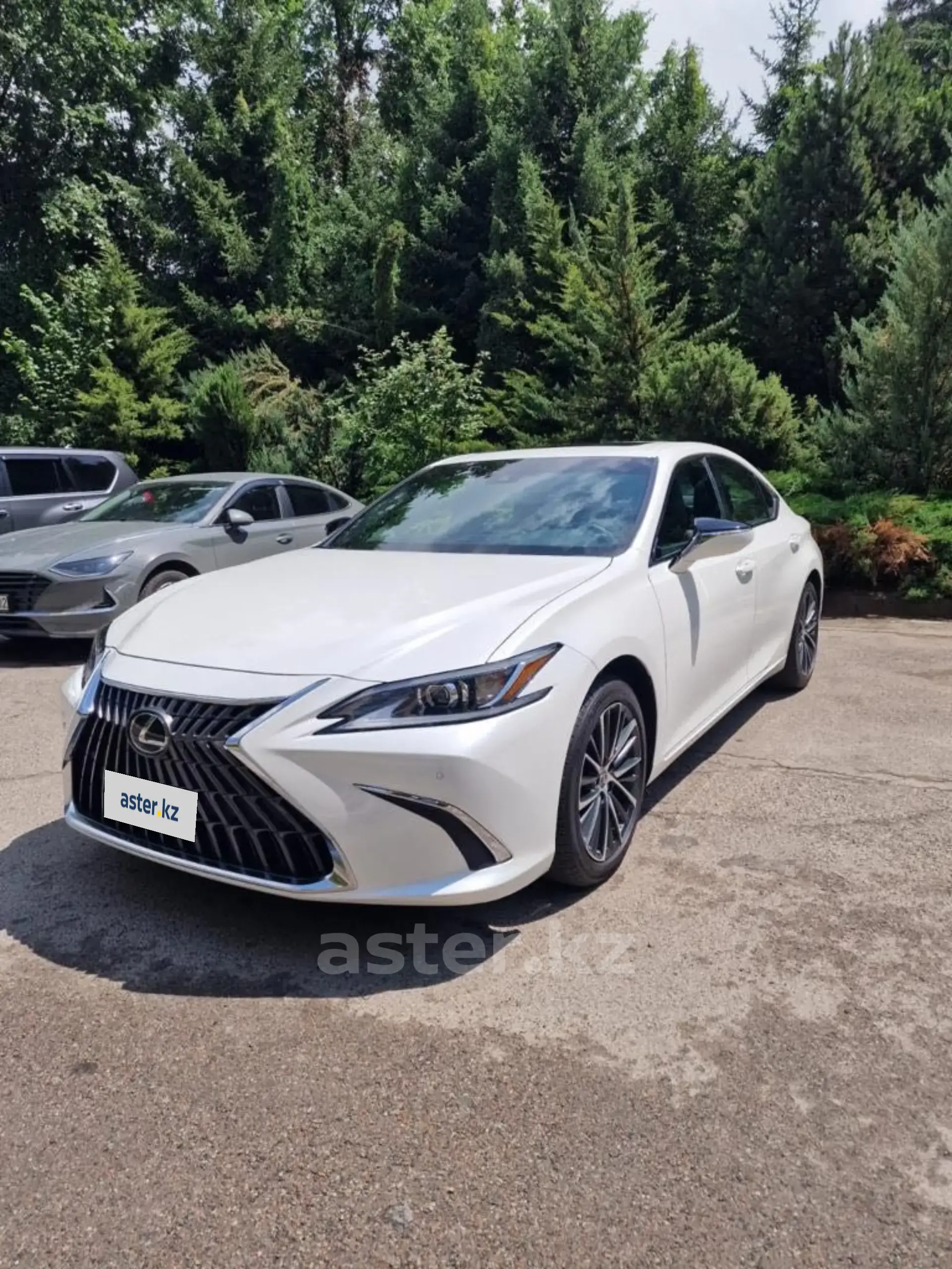 Lexus ES 2022