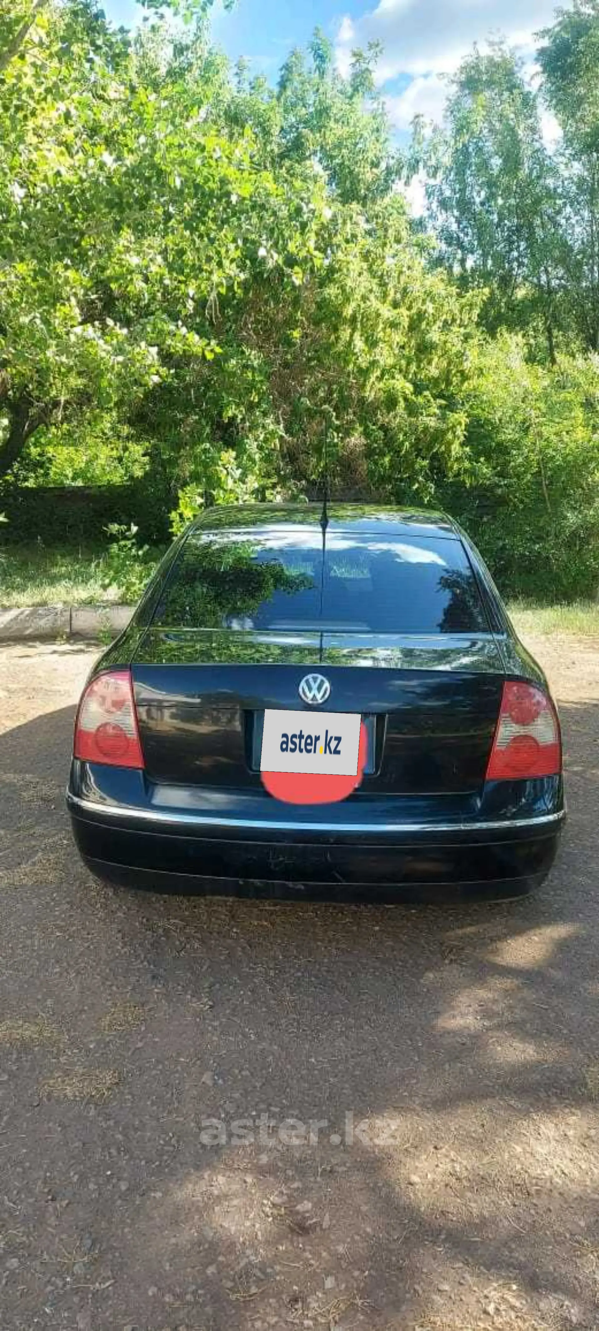 Volkswagen Passat 2002