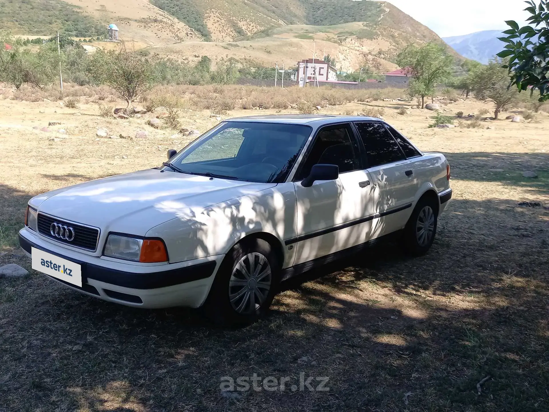 Audi 80 1994