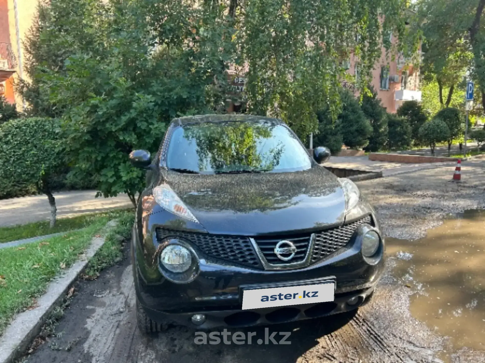 Nissan Juke 2013