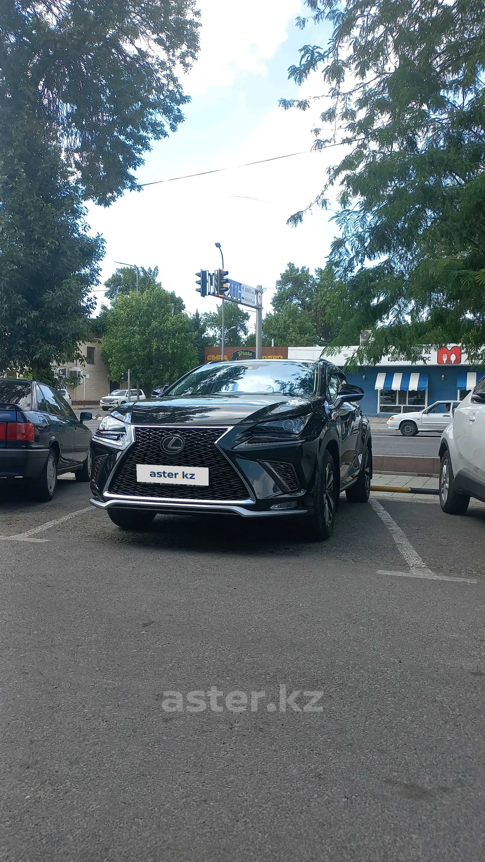 Lexus NX 2021