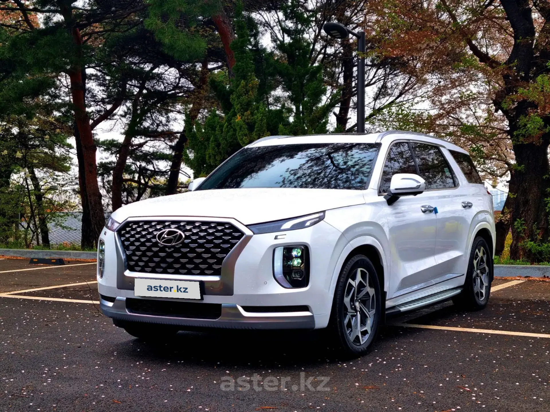 Hyundai Palisade 2021