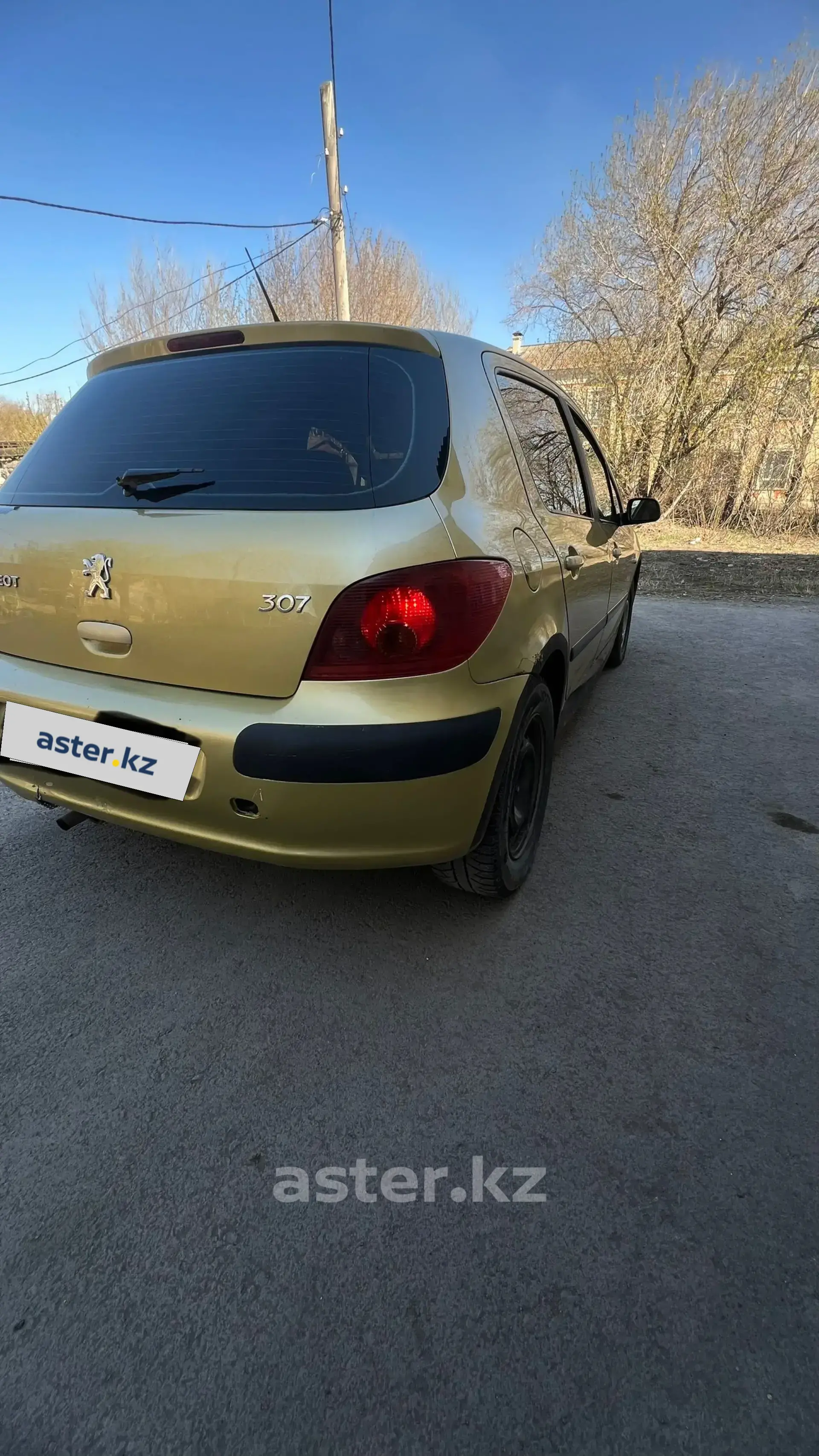 Peugeot 307 2001