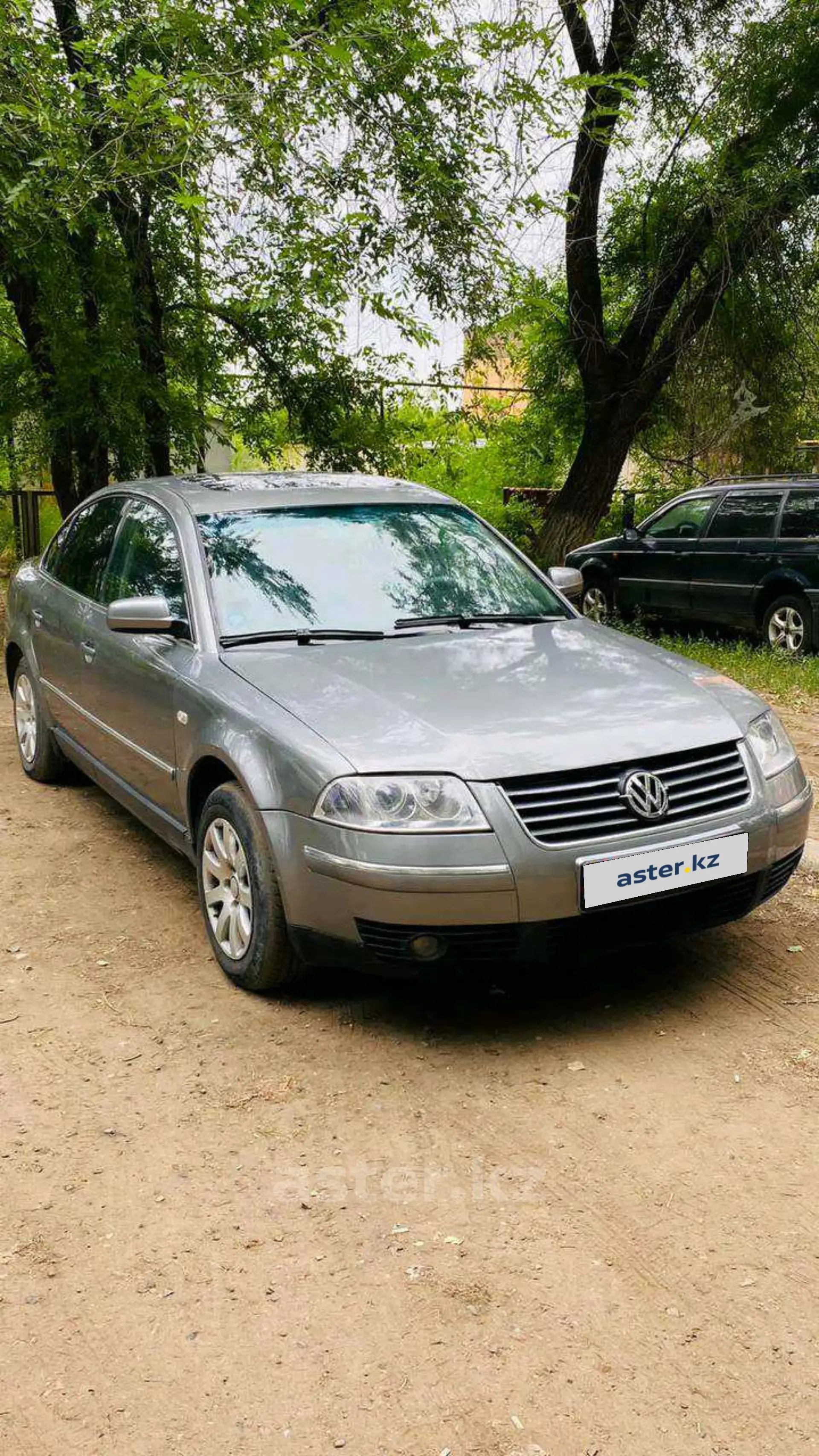 Volkswagen Passat 2002