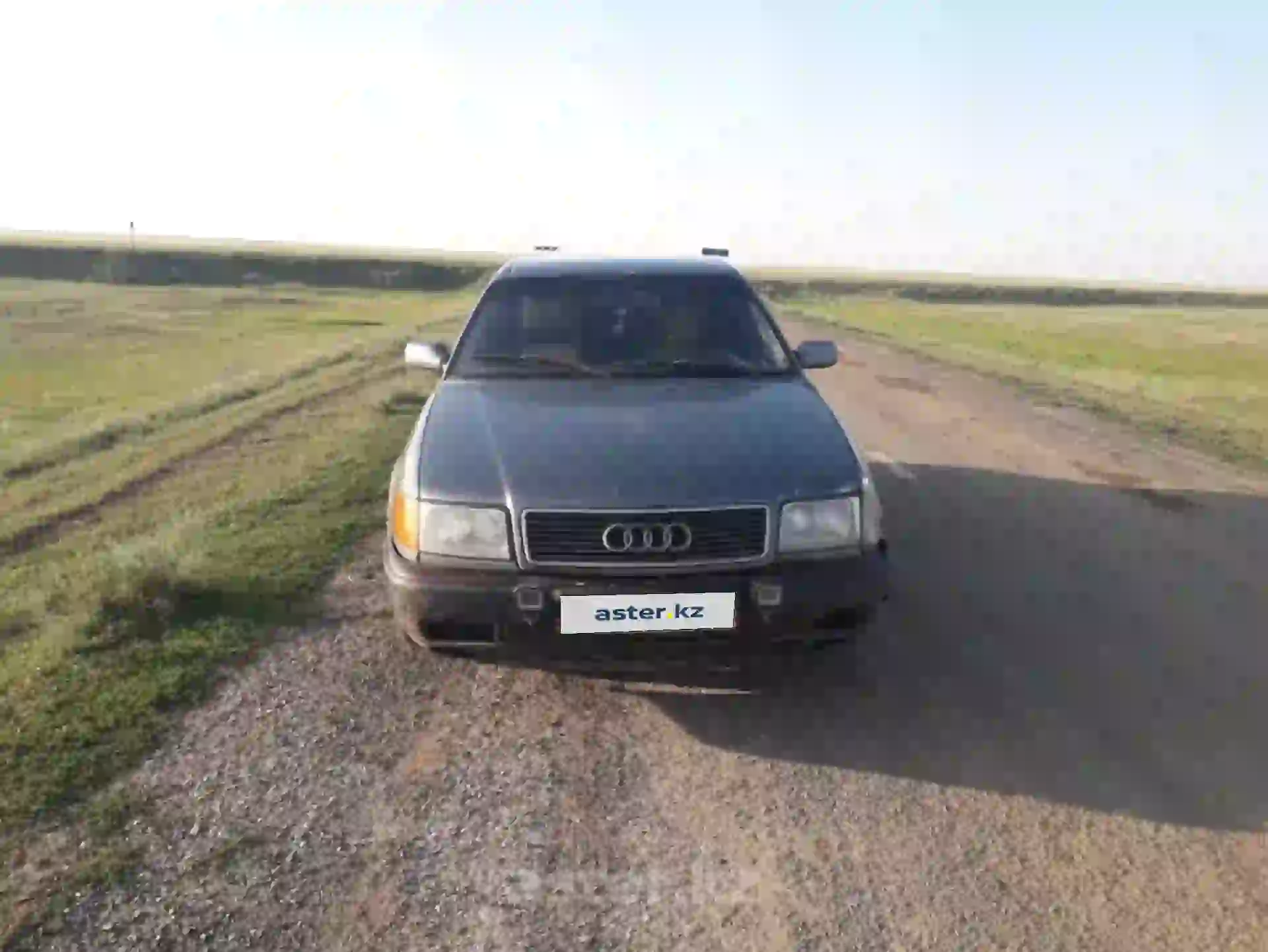 Audi 100 1991