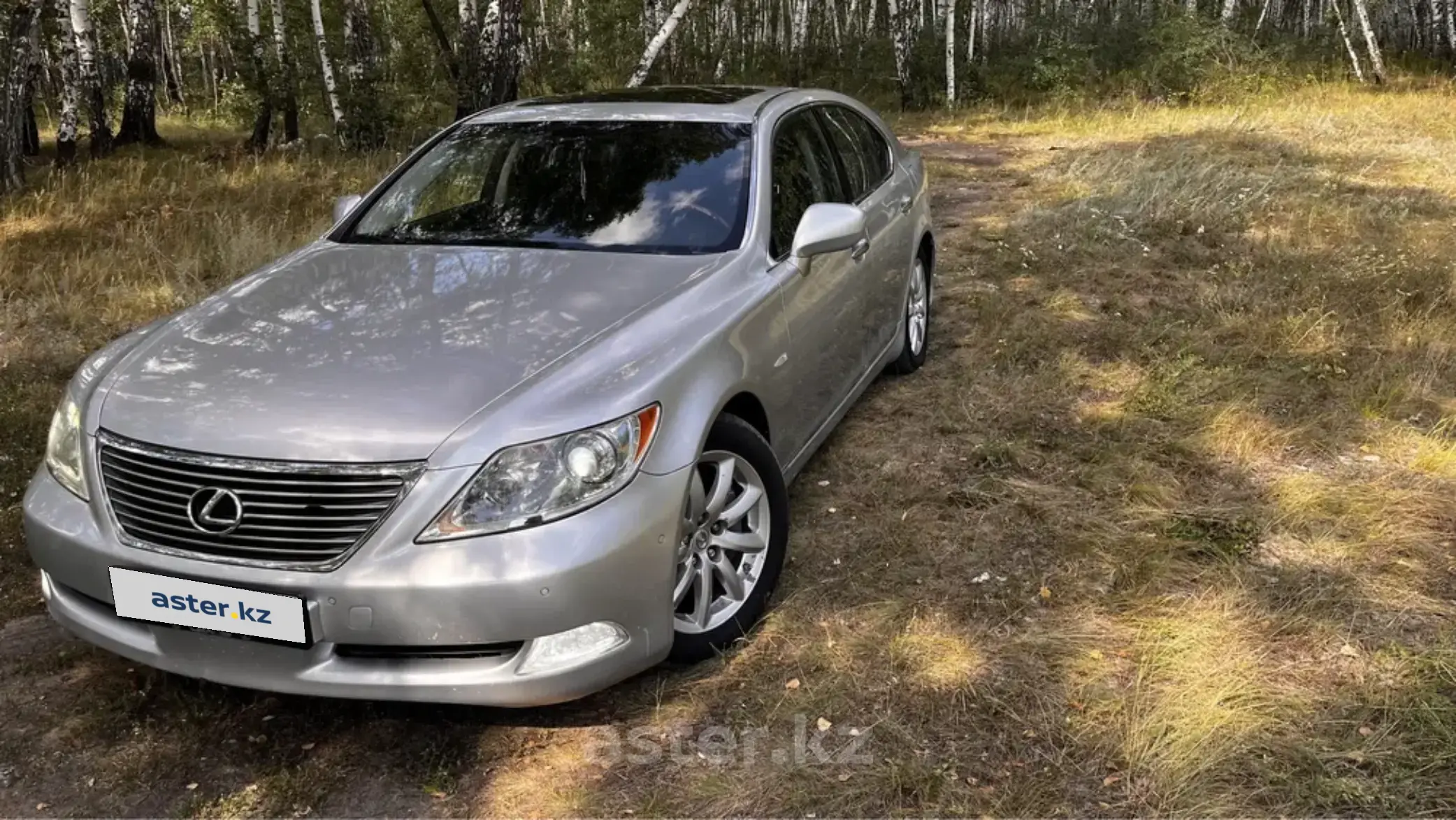 Lexus LS 2007