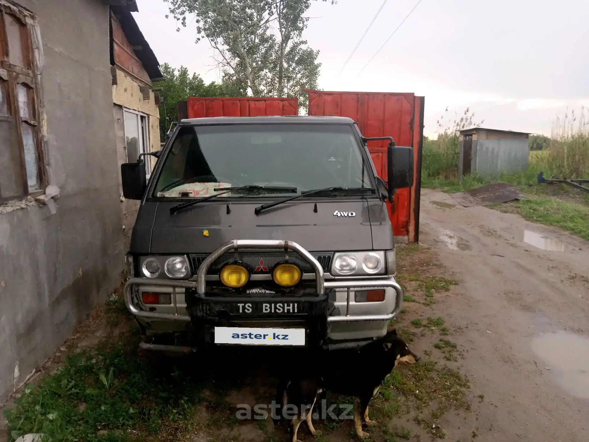 Mitsubishi Delica 1992