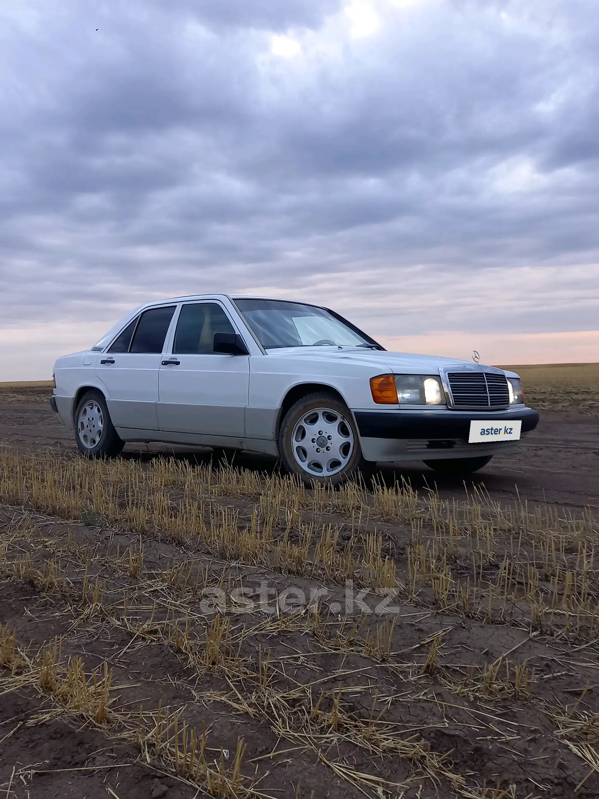 Mercedes-Benz 190 (W201) 1990