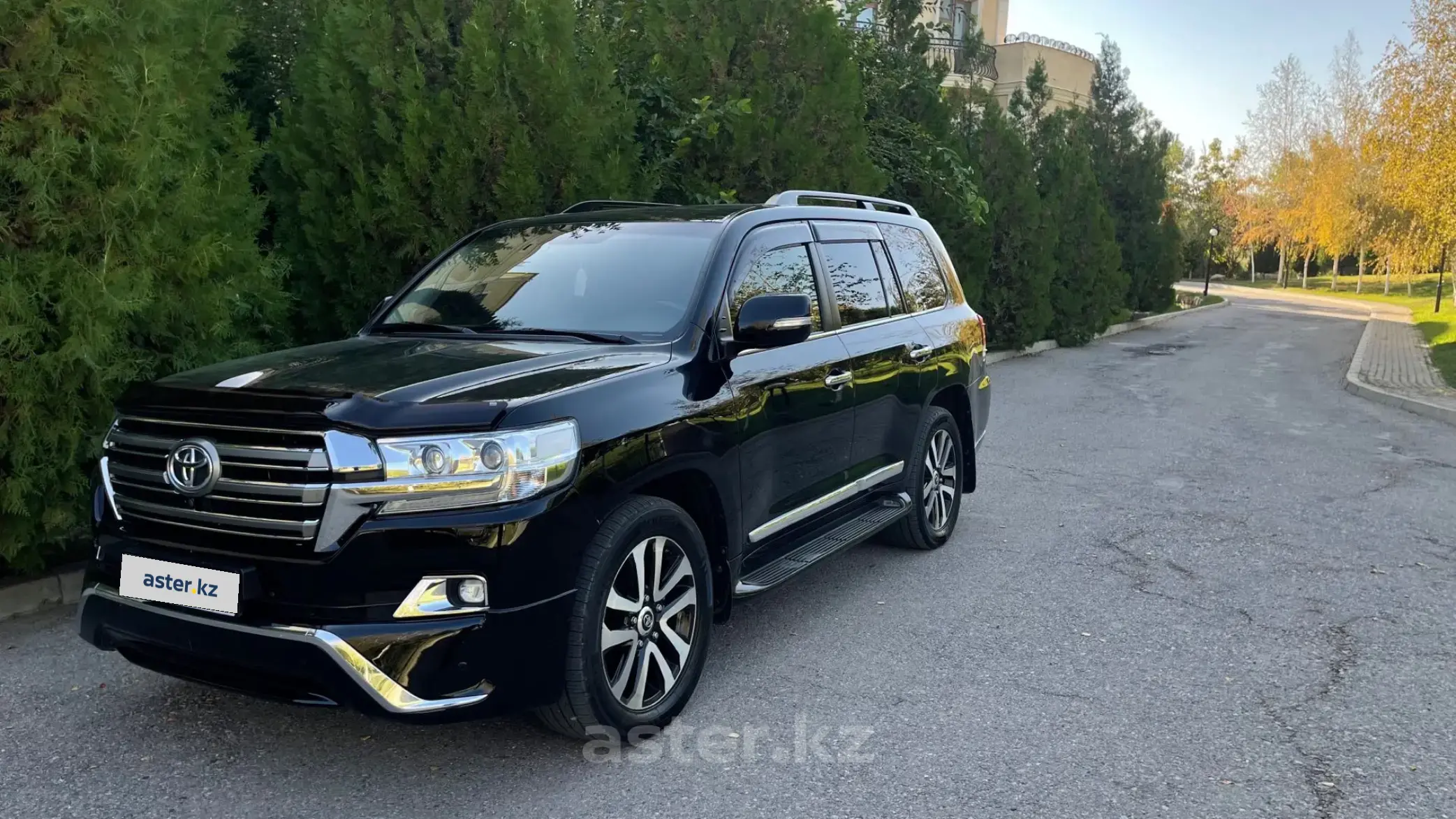 Toyota Land Cruiser 2016