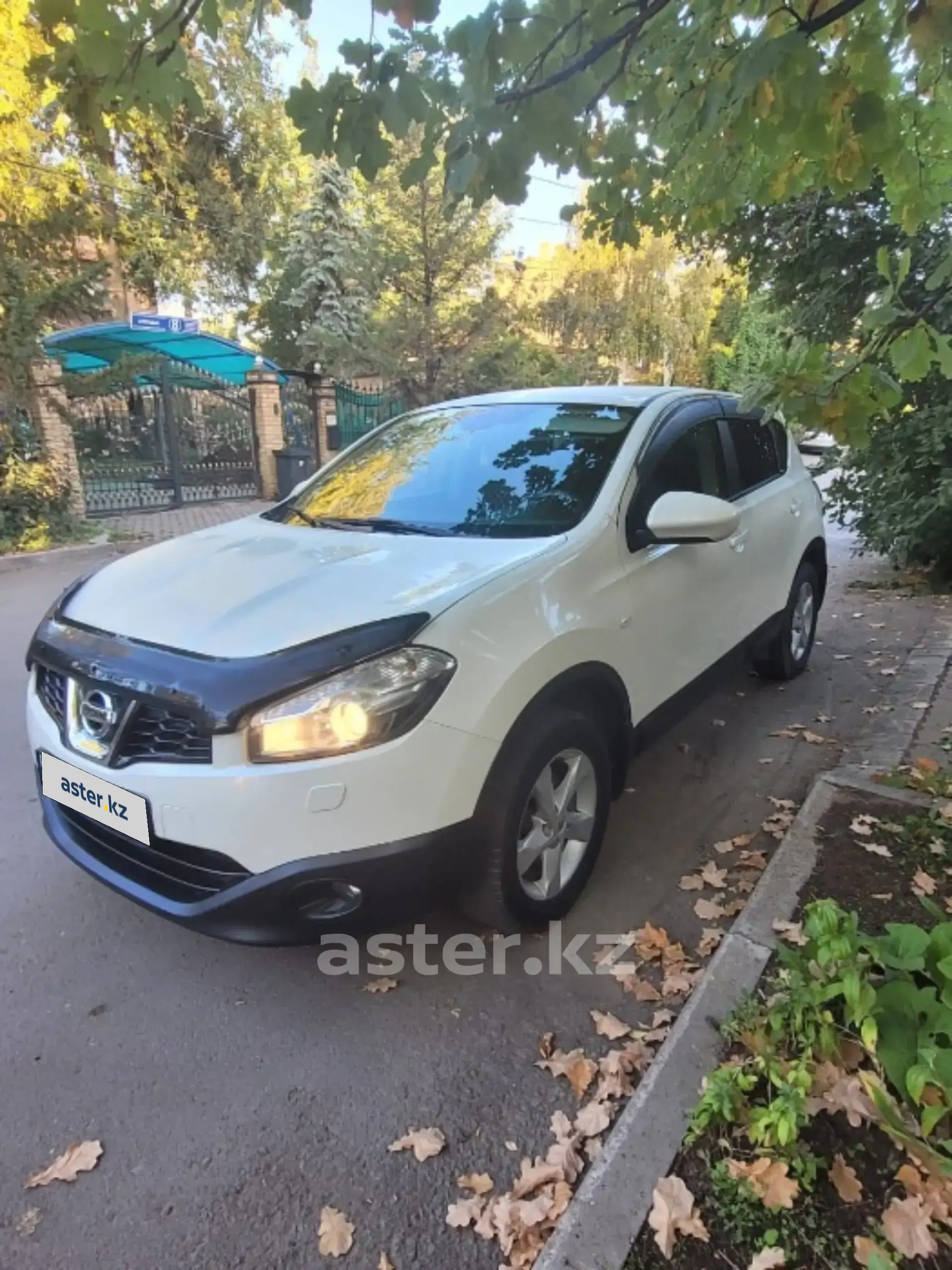 Nissan Qashqai 2013