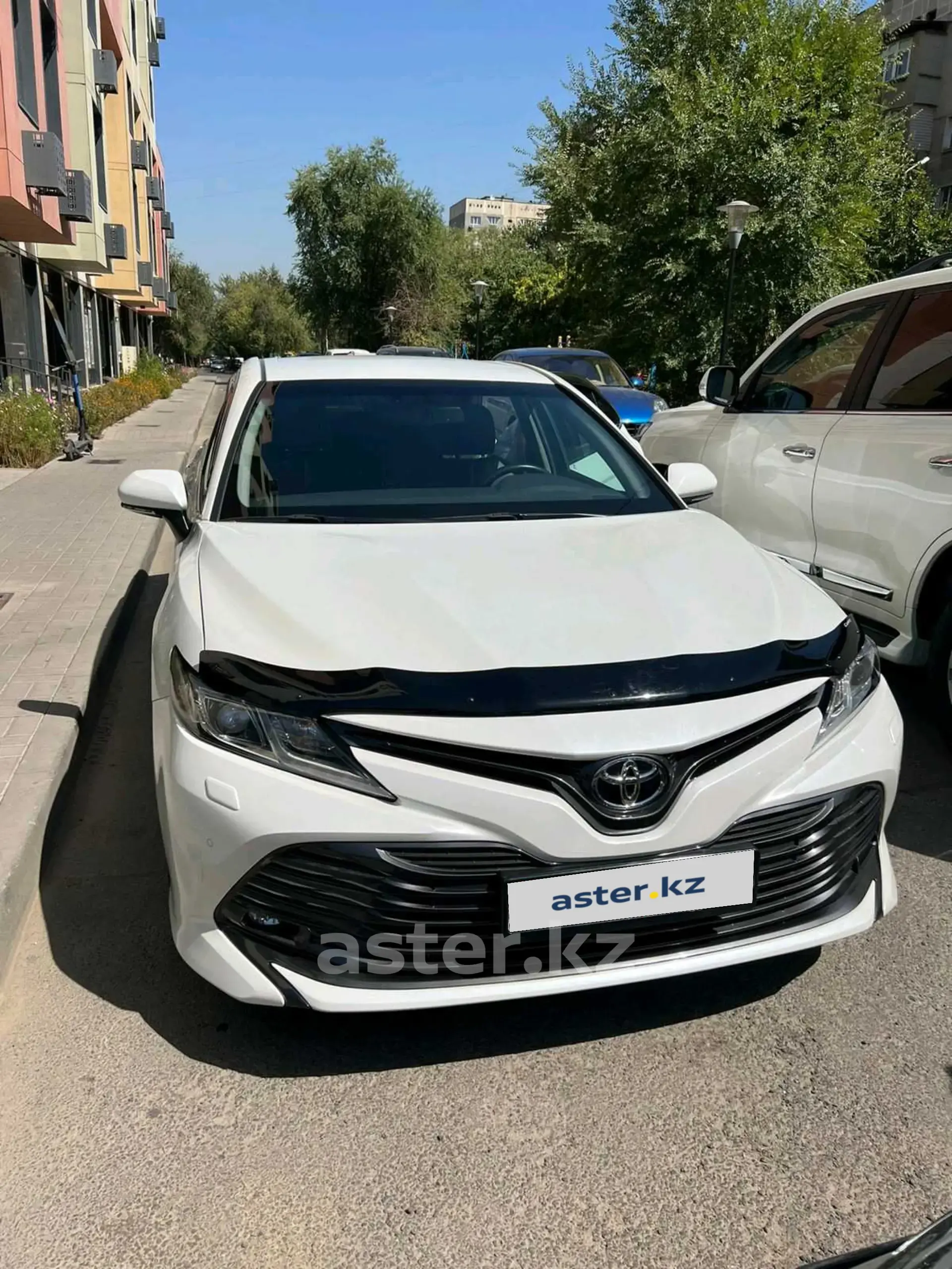 Toyota Camry 2019