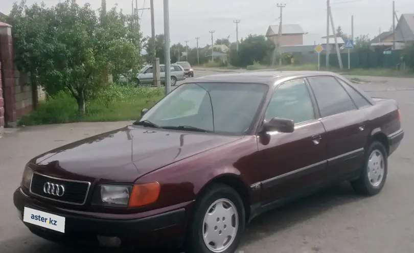 Audi 100 1992 года за 2 000 000 тг. в Жетысуская область