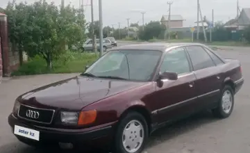 Audi 100 1992 года за 2 000 000 тг. в Жетысуская область