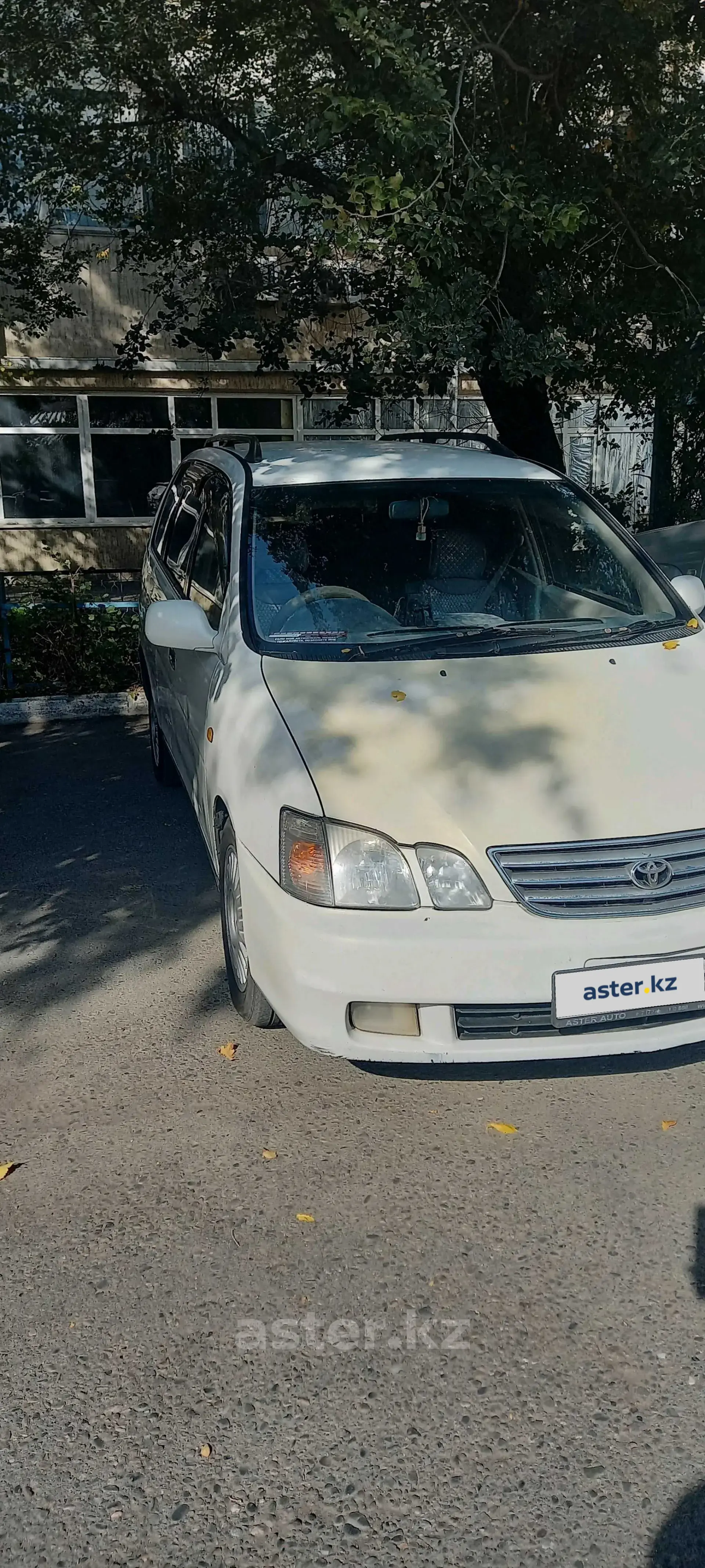 Toyota Gaia 1999