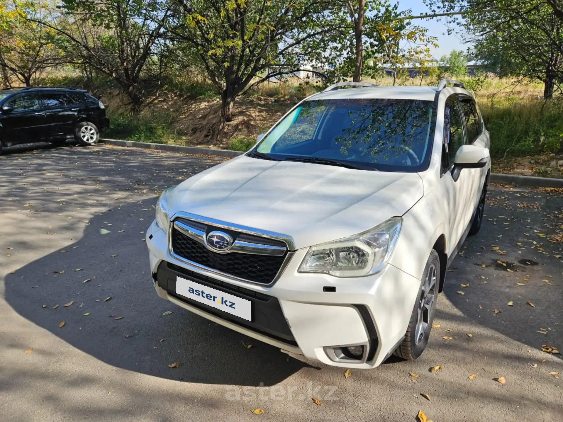 Subaru Forester 2013