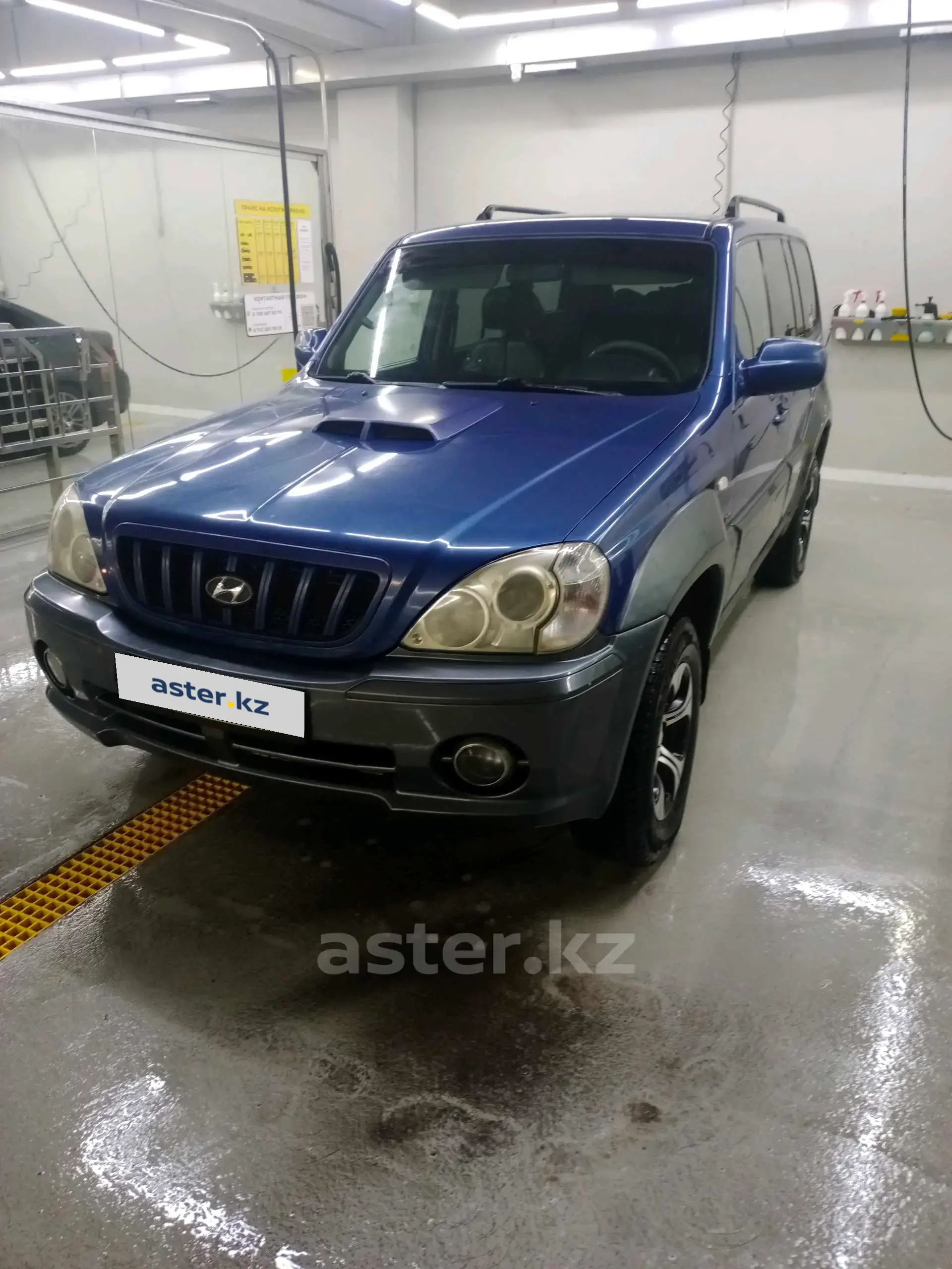 Hyundai Terracan 2002