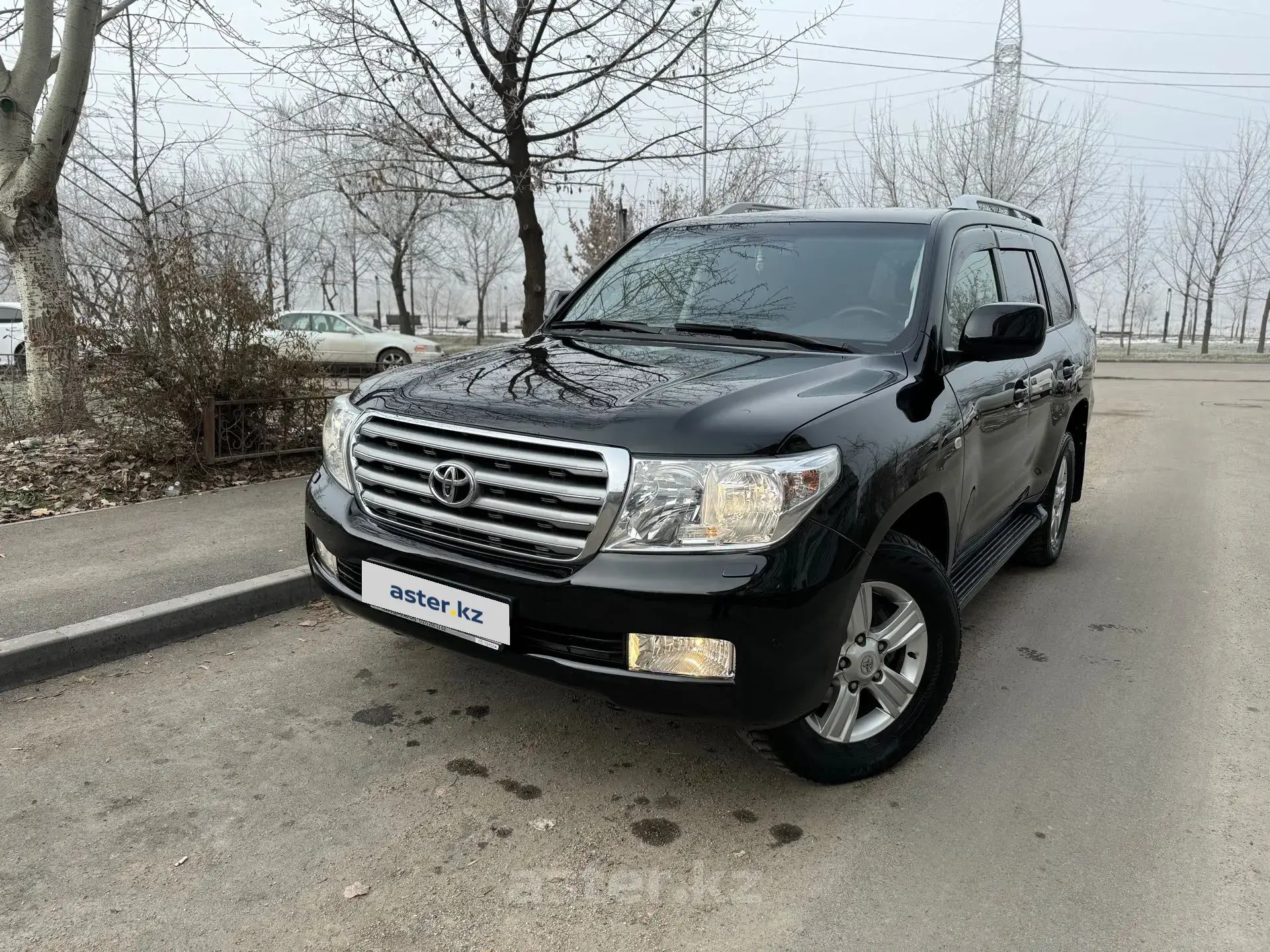 Toyota Land Cruiser 2011