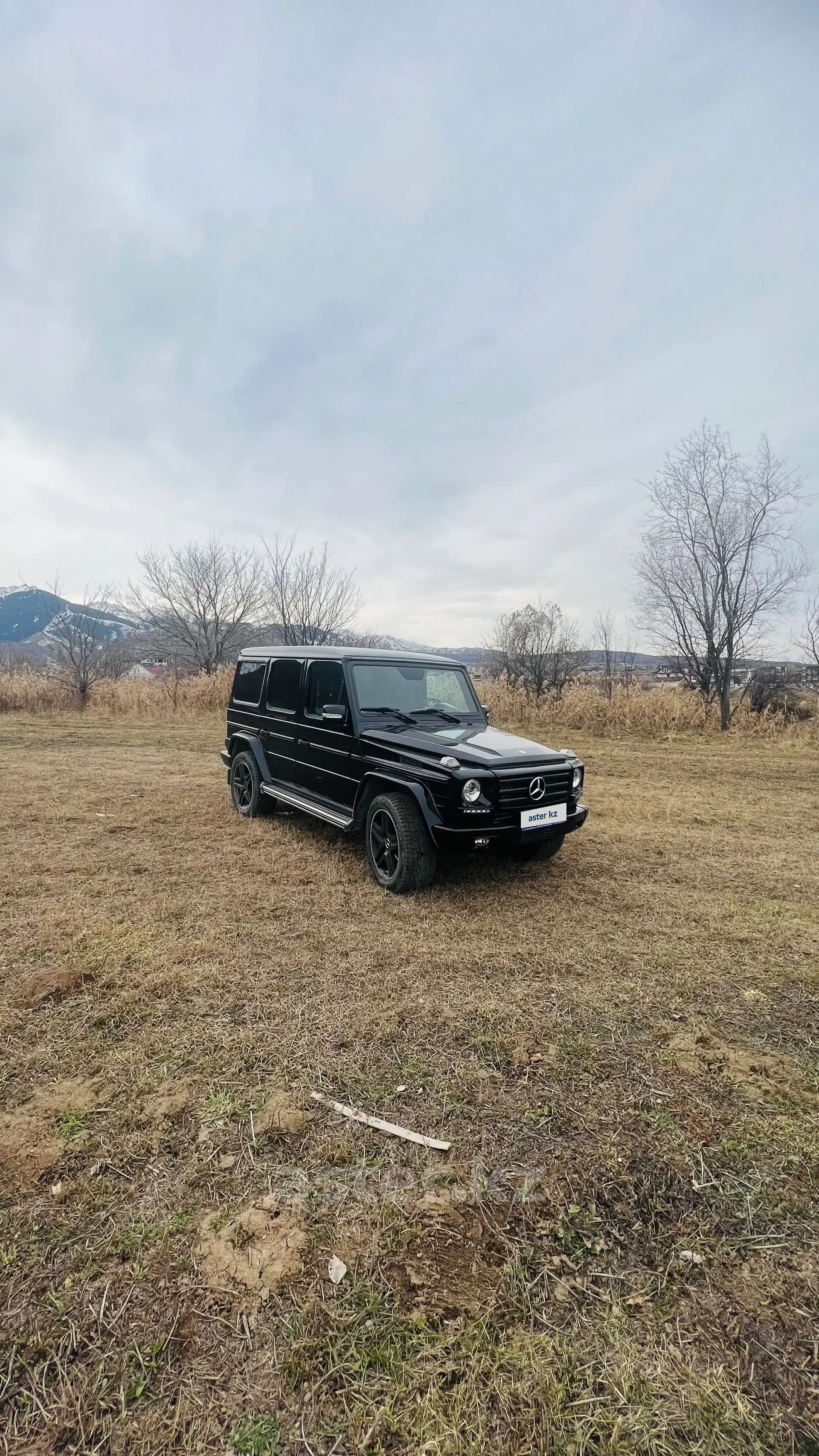 Mercedes-Benz G-Класс 2011