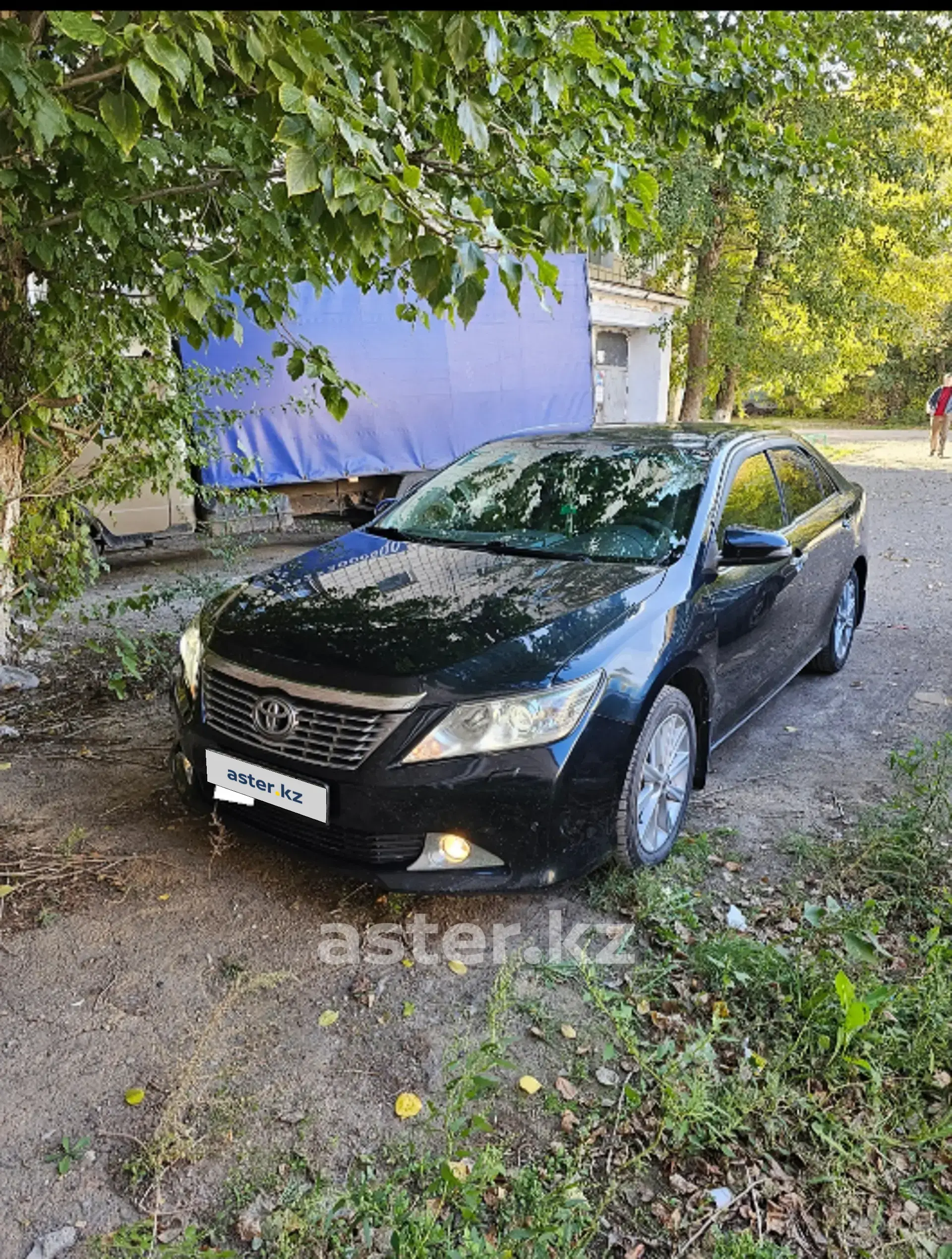 Toyota Camry 2013