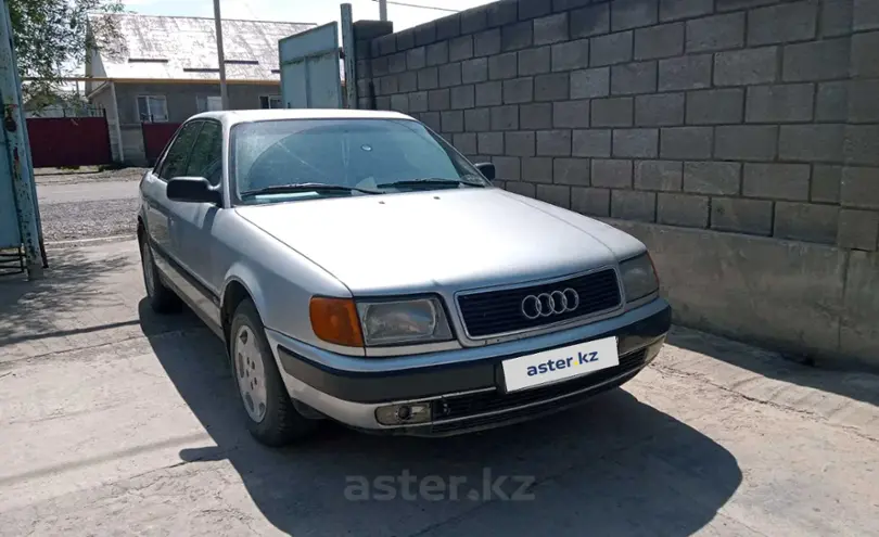 Audi 100 1994 года за 2 500 000 тг. в Жетысуская область