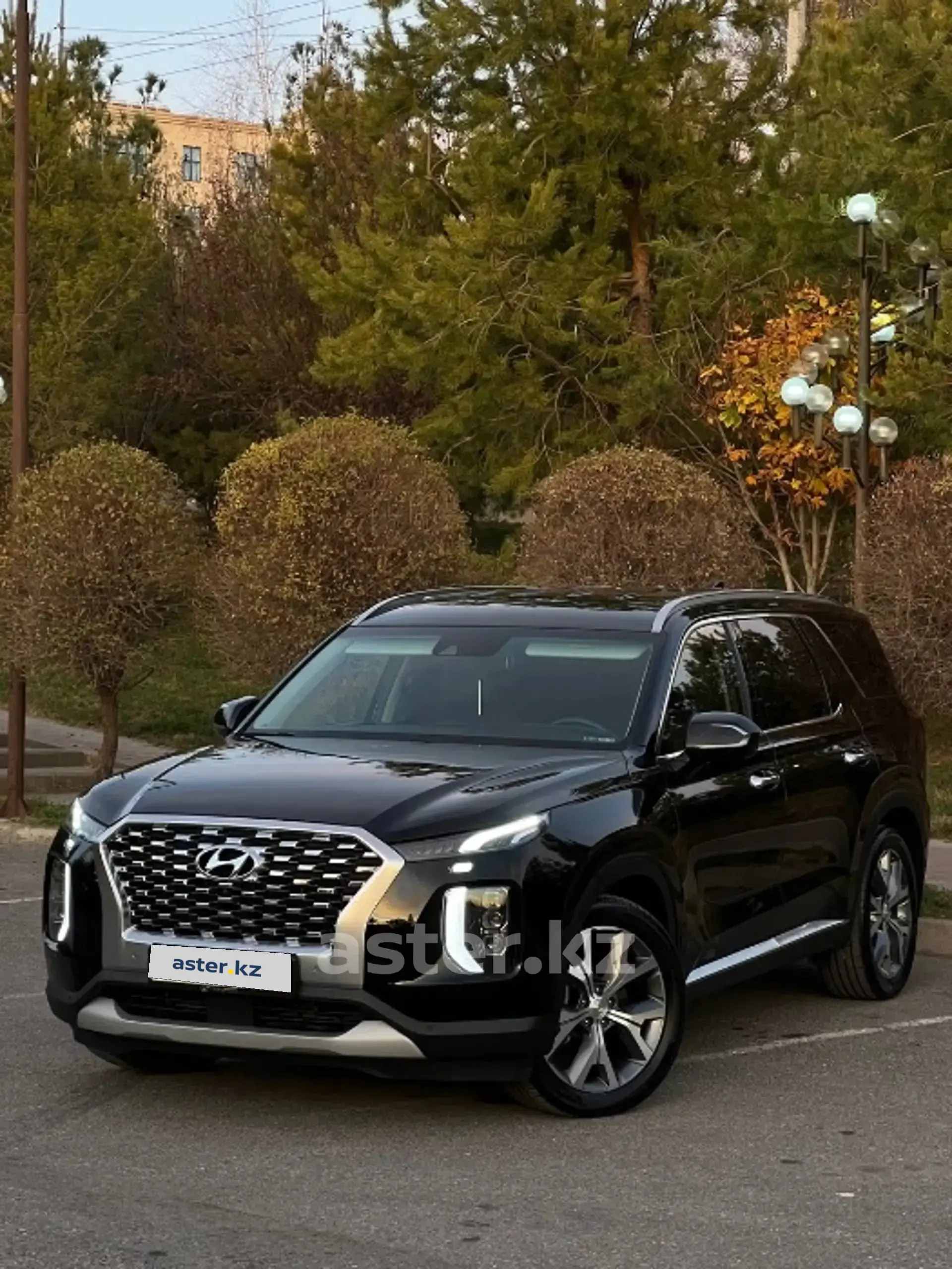 Hyundai Palisade 2020