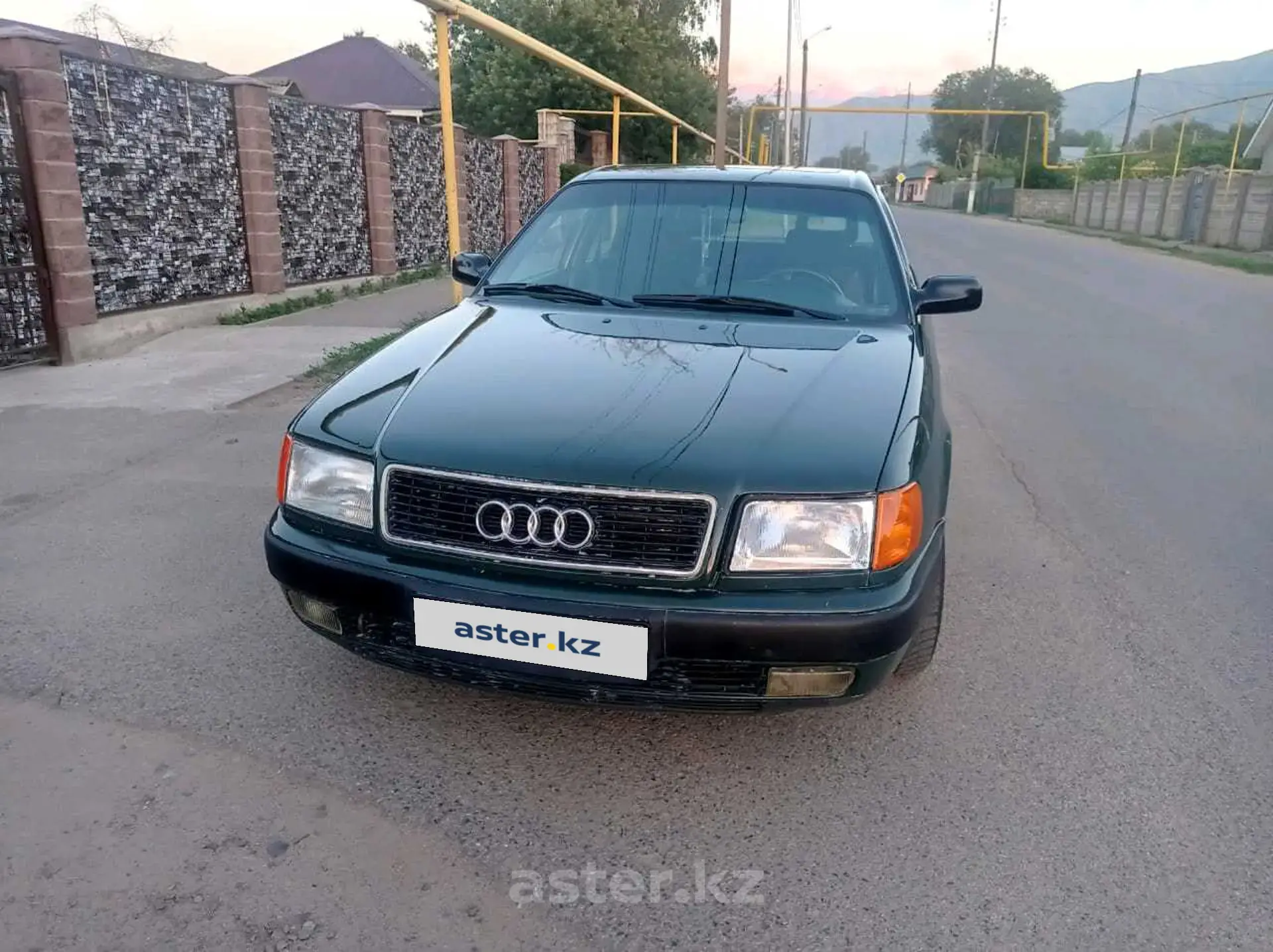 Audi 100 1991