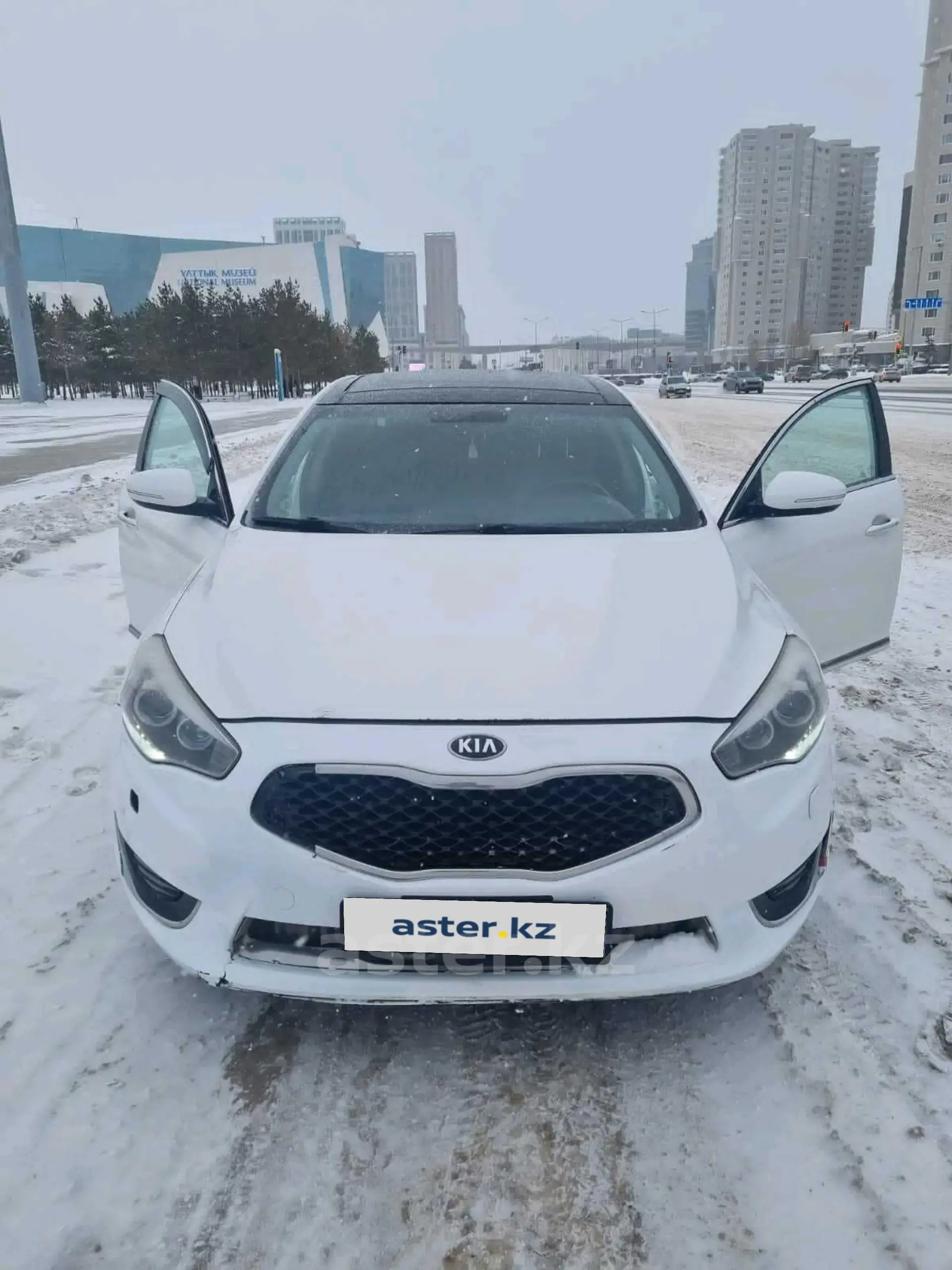 Kia Cadenza 2014