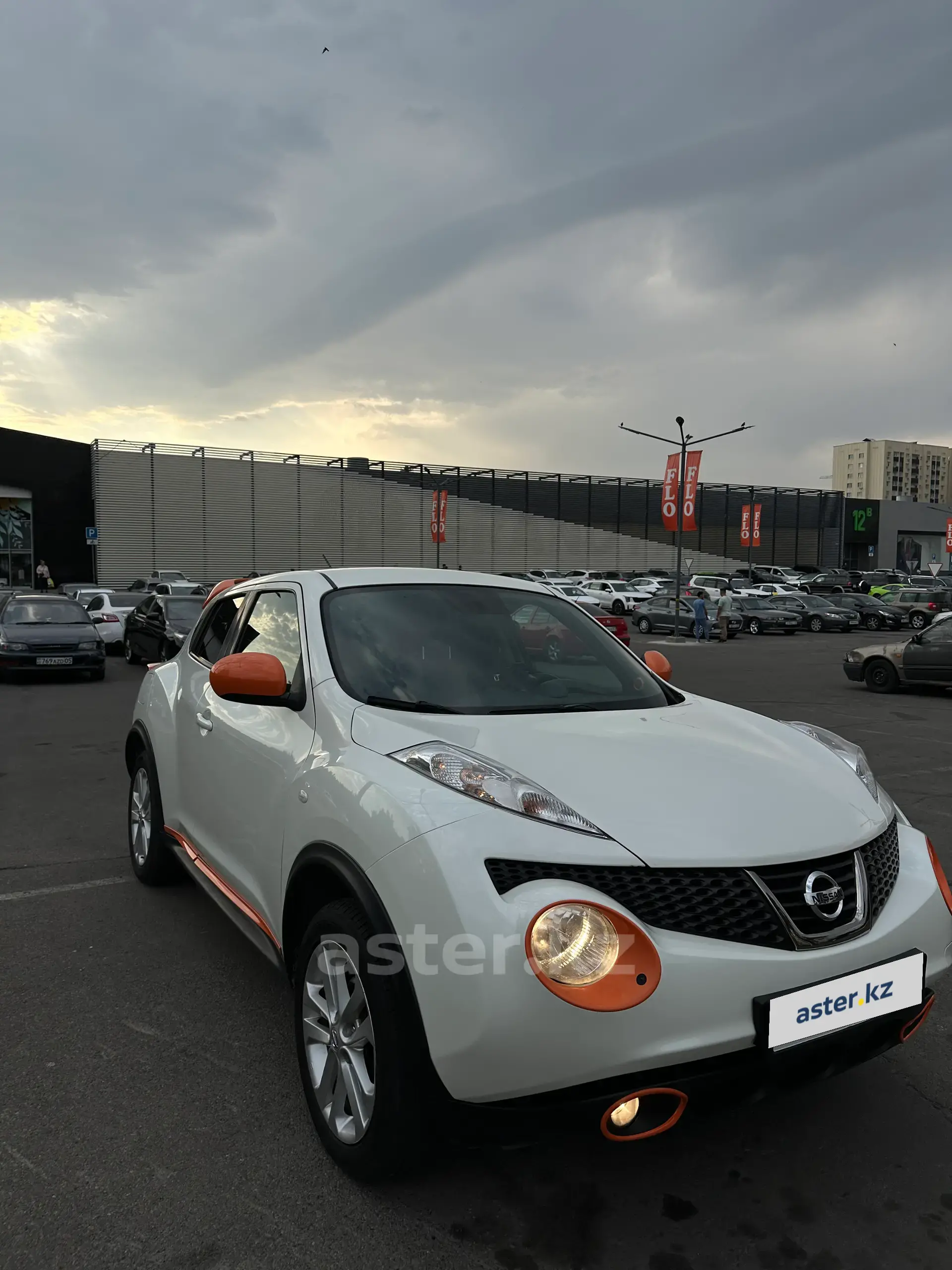 Nissan Juke 2013