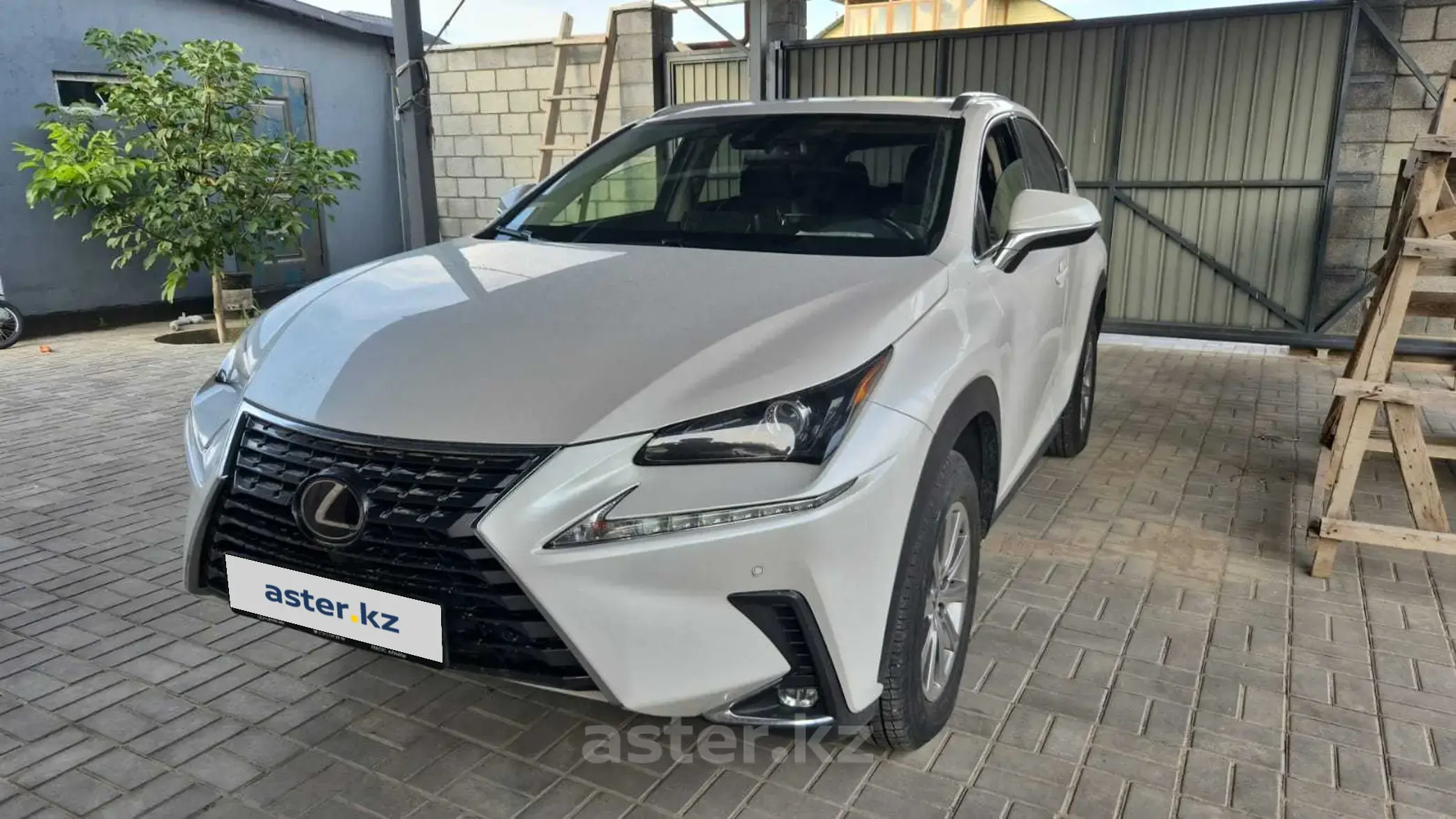 Lexus NX 2021