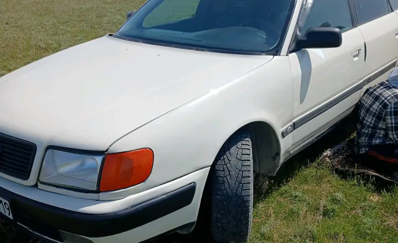 Audi 100 1992 года за 1 850 000 тг. в Жетысуская область