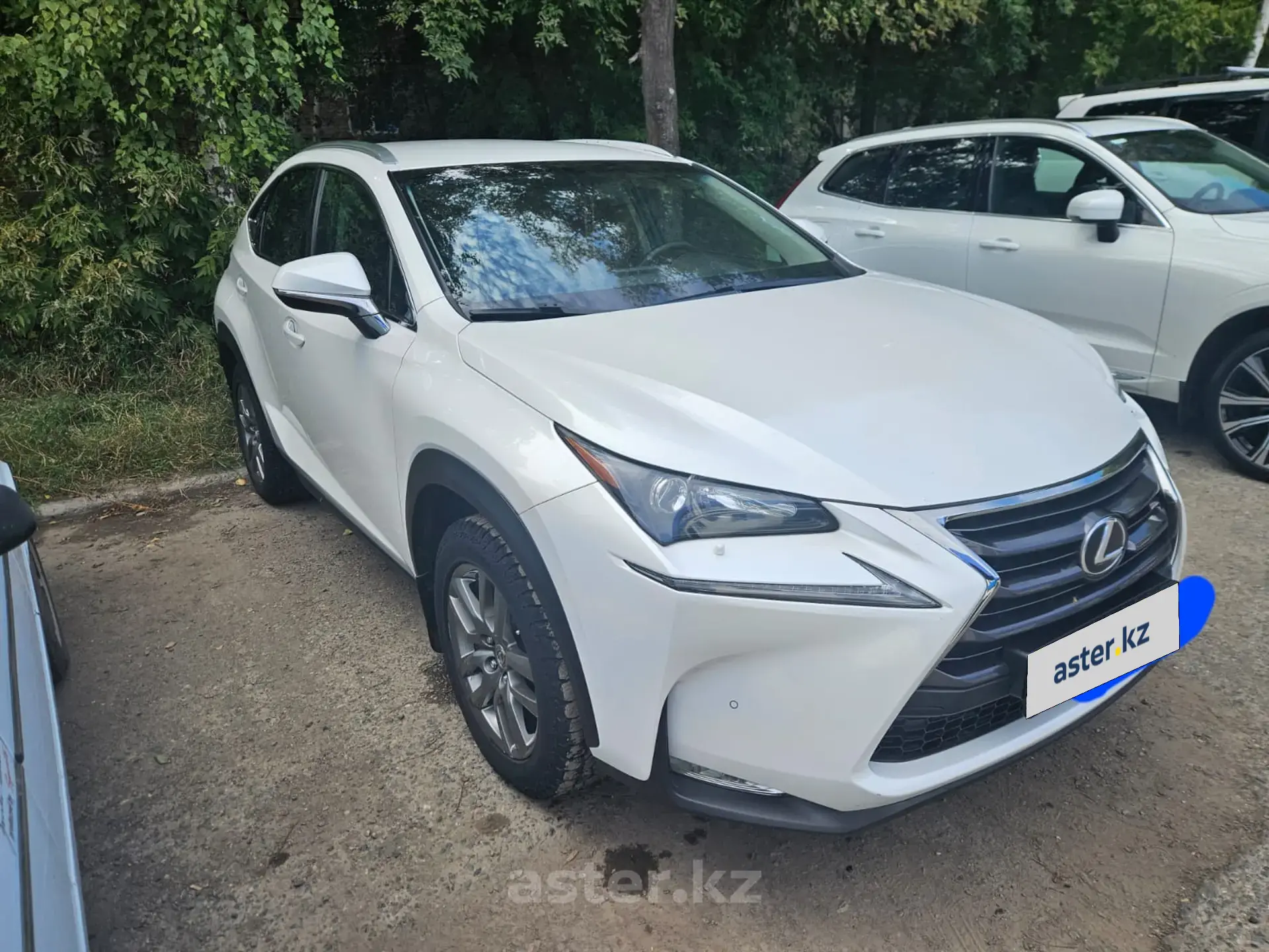 Lexus NX 2014