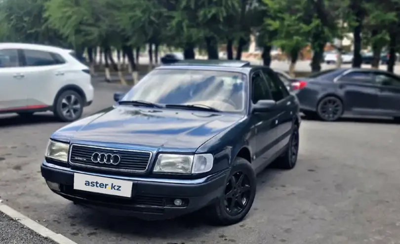 Audi 100 1992 года за 2 300 000 тг. в Алматинская область