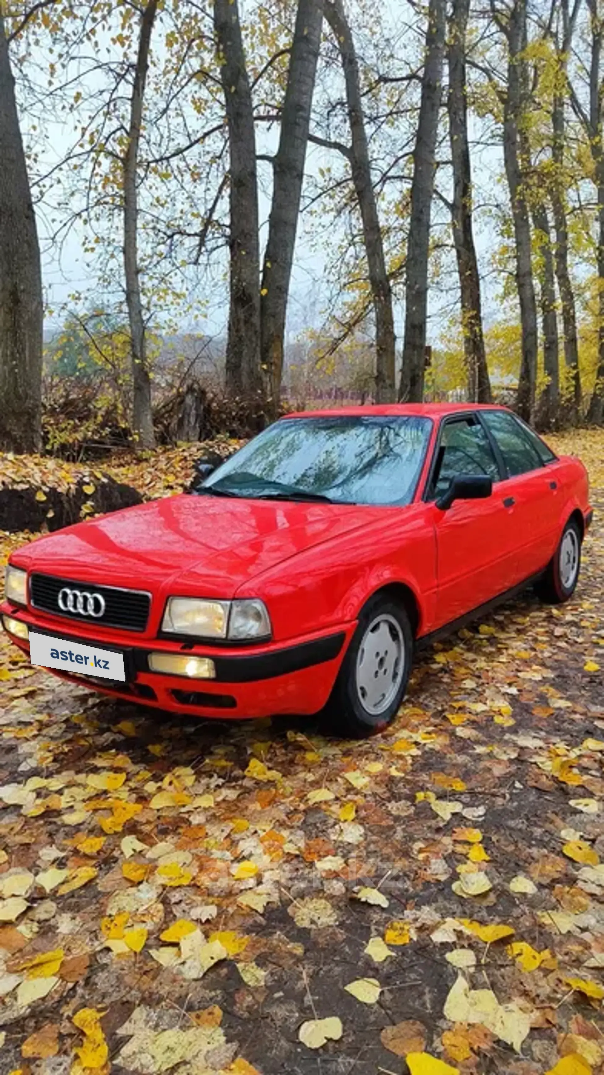 Audi 80 1993