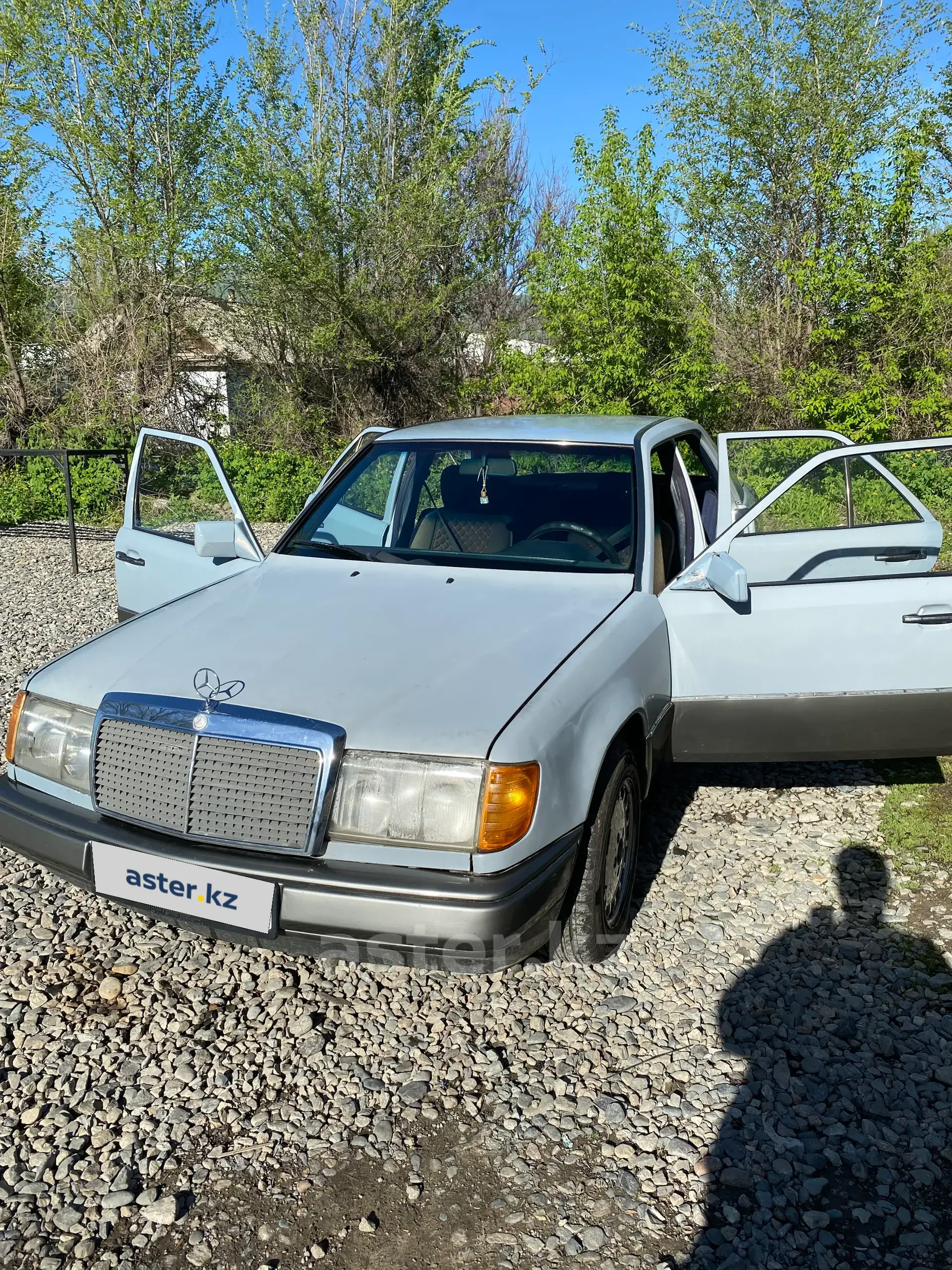 Mercedes-Benz W124 1991