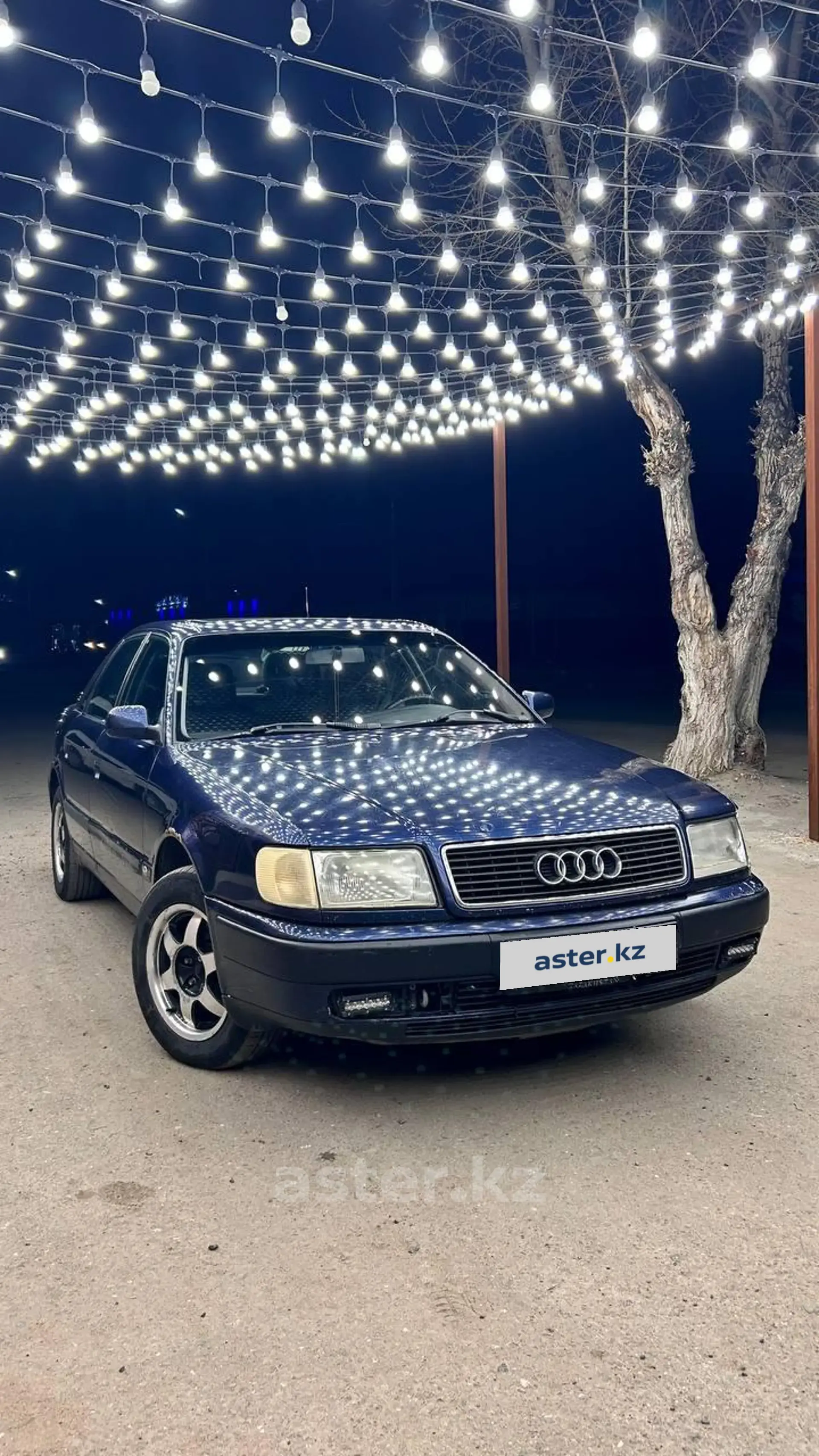 Audi 100 1993