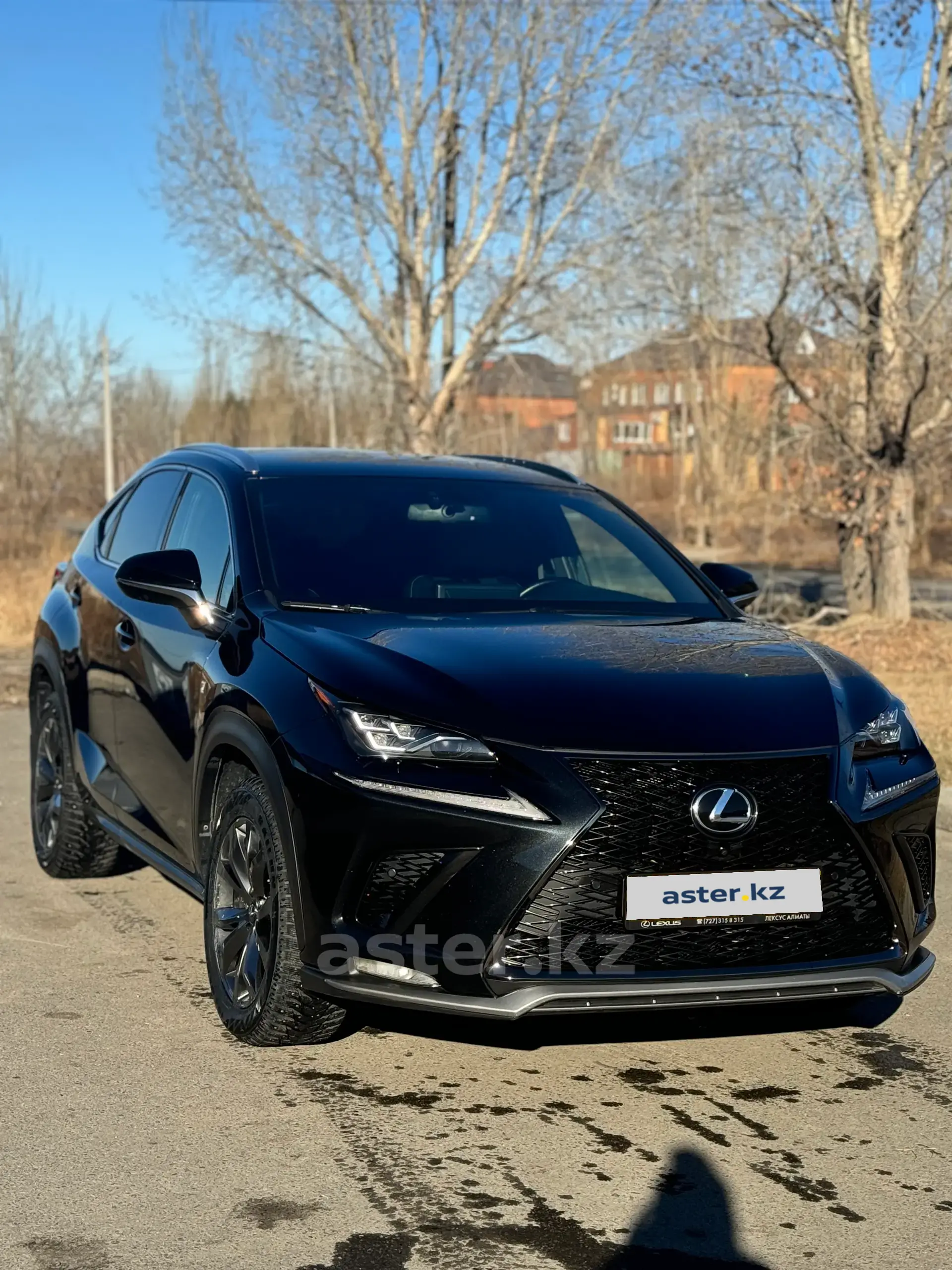 Lexus NX 2020