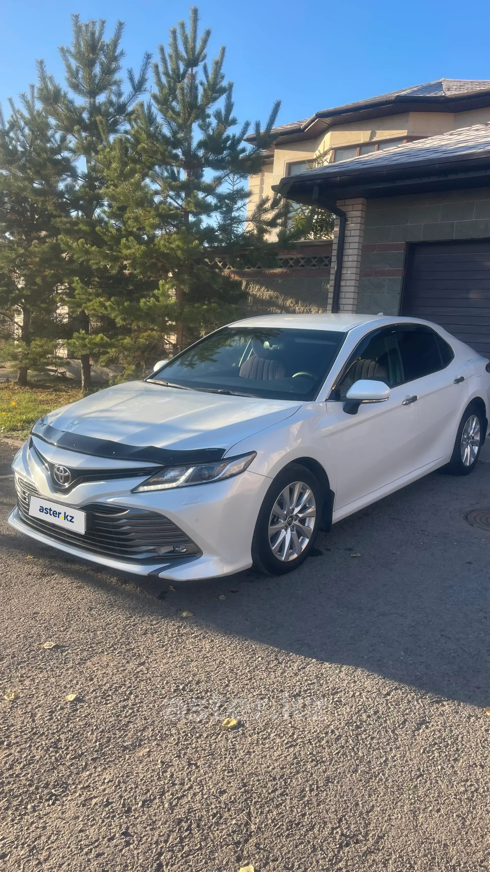 Toyota Camry 2019