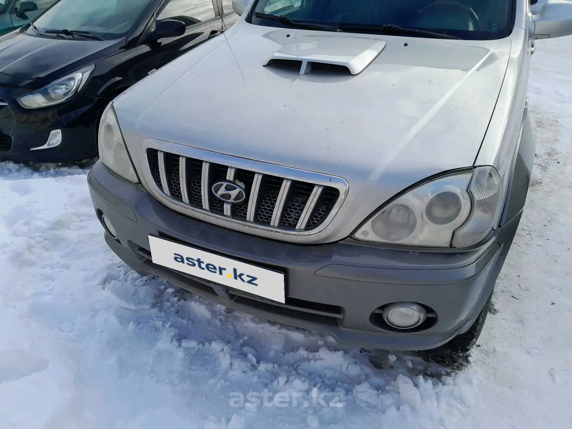 Hyundai Terracan 2002