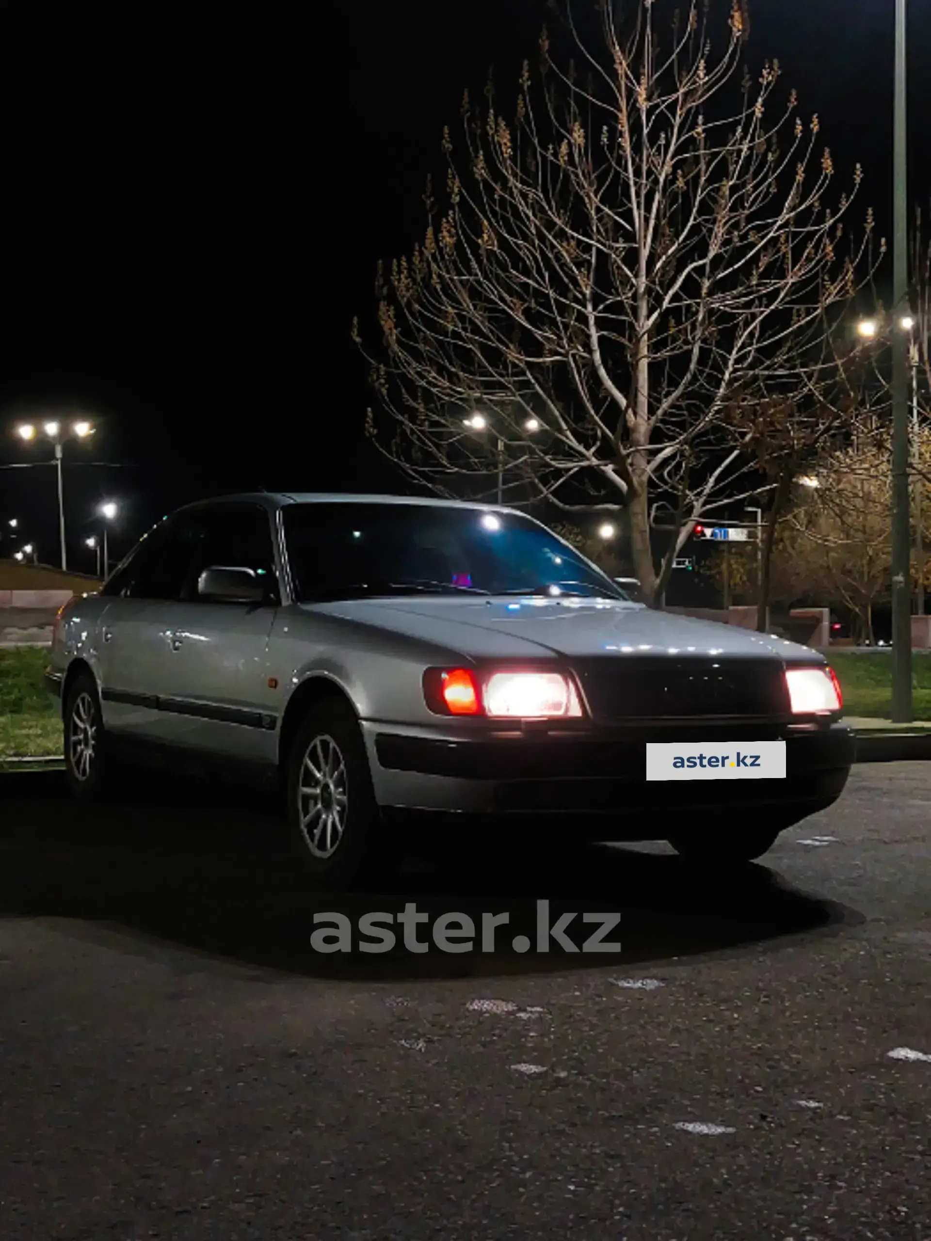 Audi 100 1994