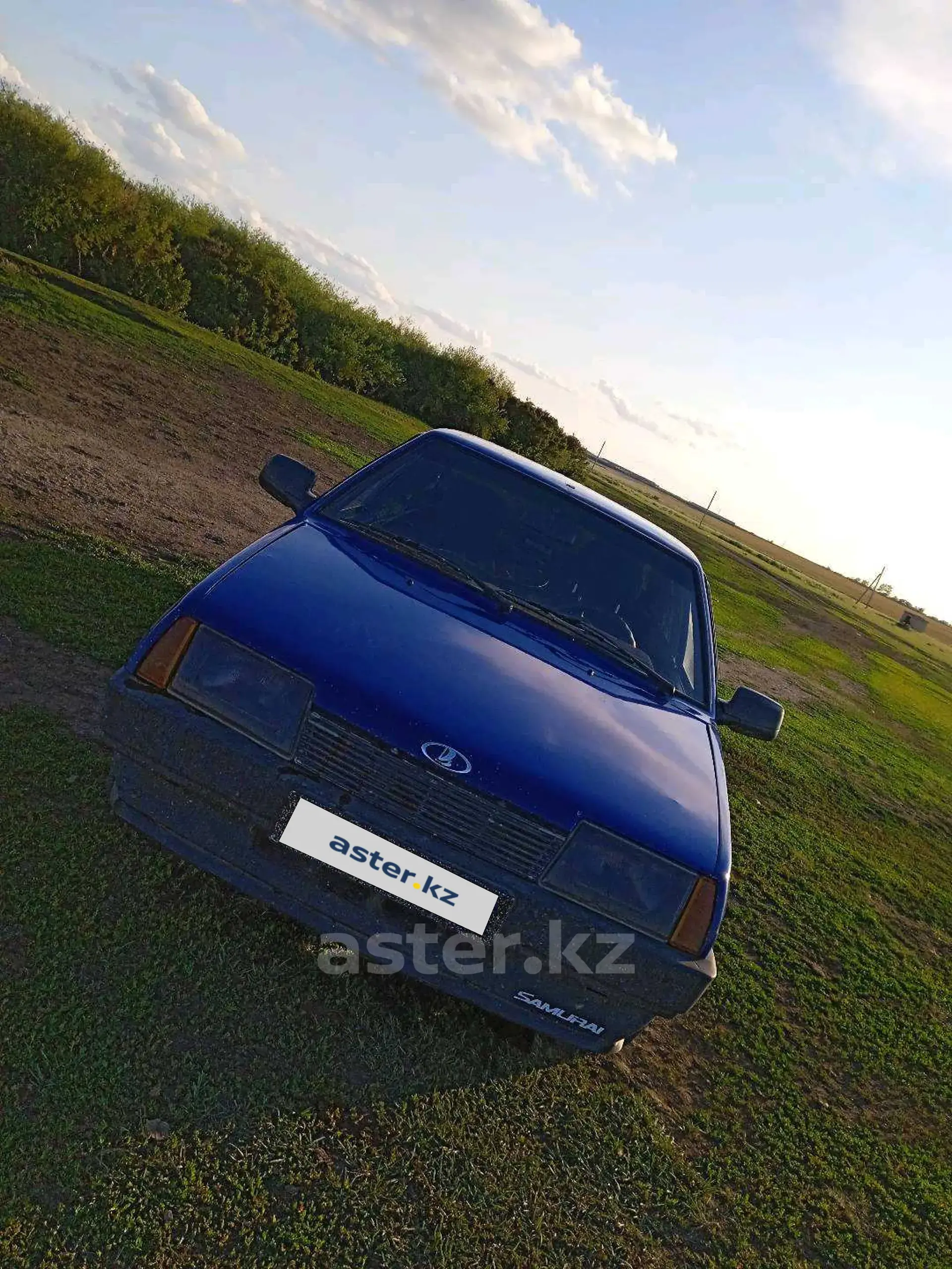 LADA (ВАЗ) 21099 2000