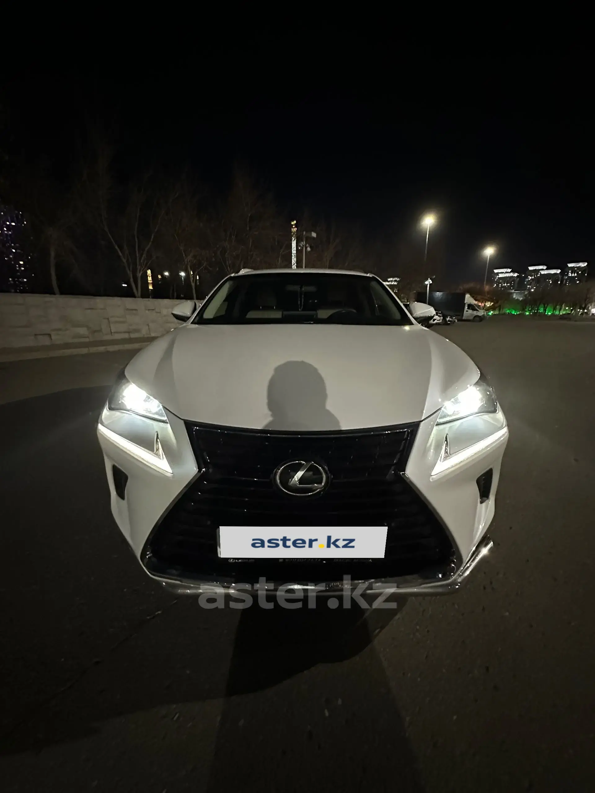 Lexus NX 2019