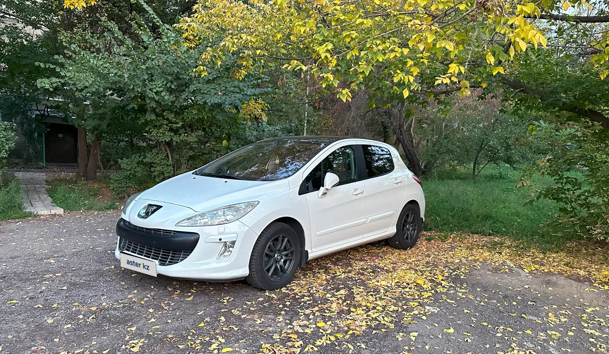 Peugeot 308 2010